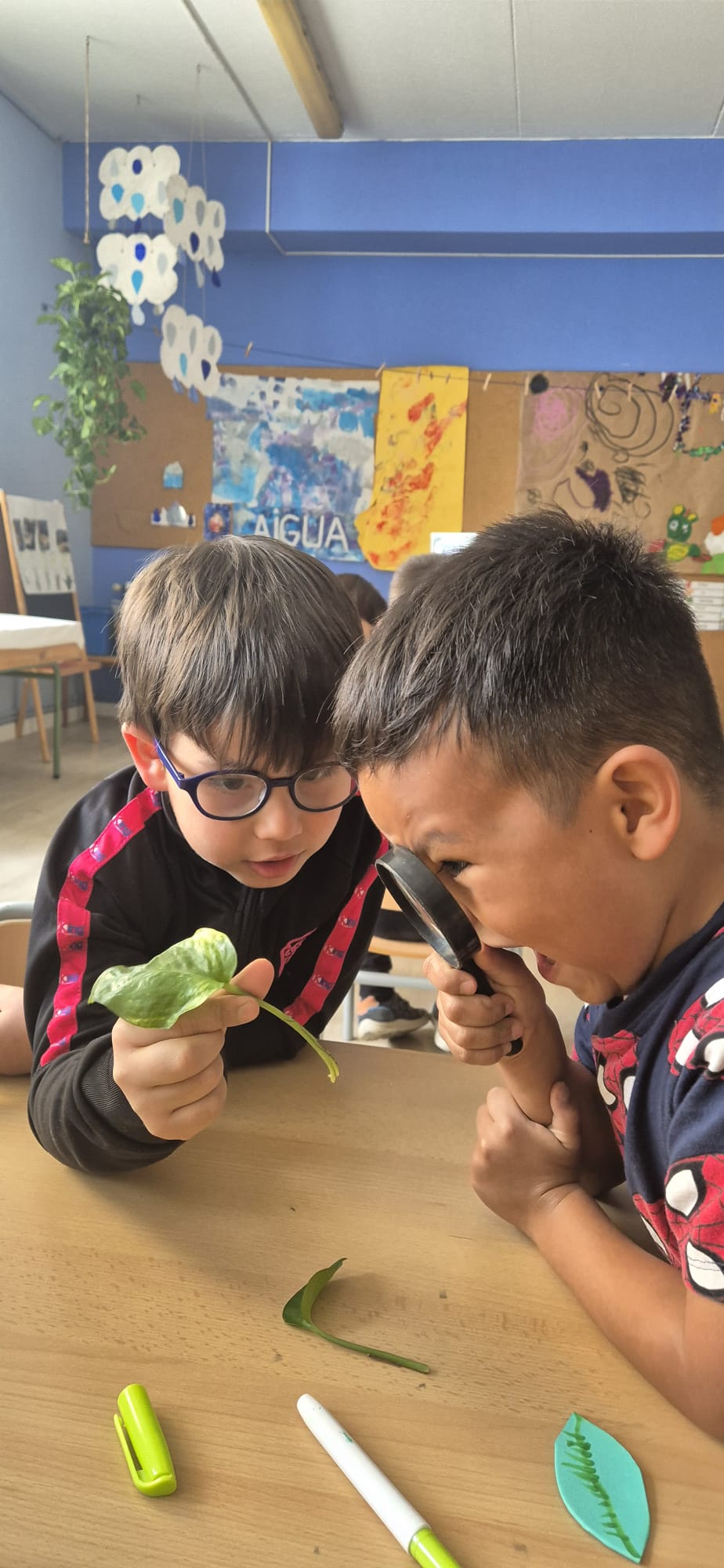 WhatsApp Image 2026-04-13 at 18.06.48 (3)