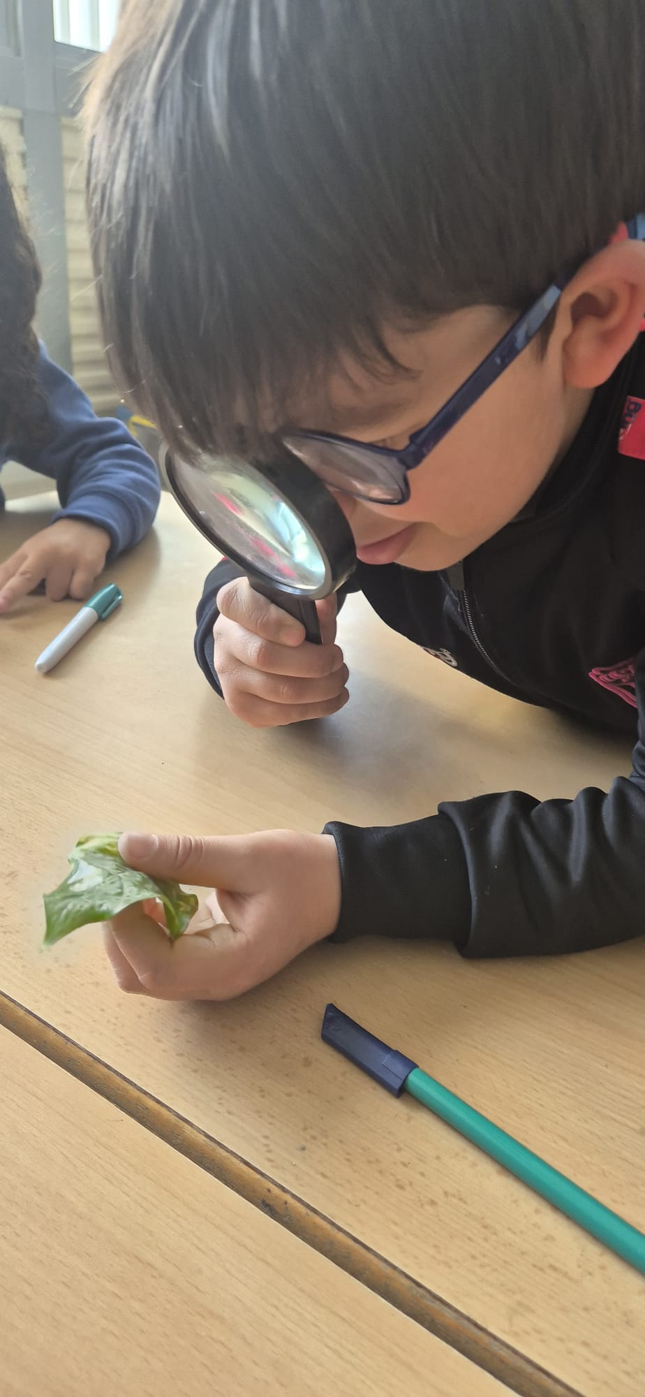 WhatsApp Image 2026-04-13 at 18.06.48 (5)