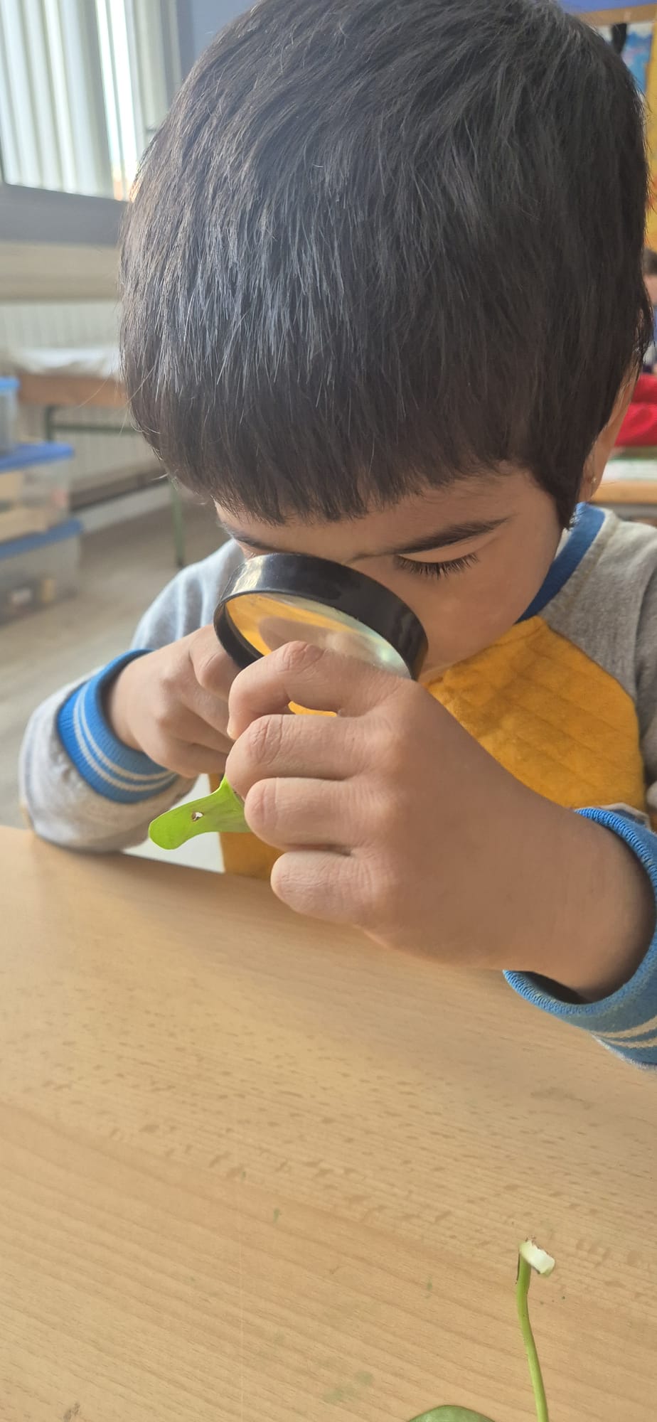 WhatsApp Image 2026-04-13 at 18.06.48