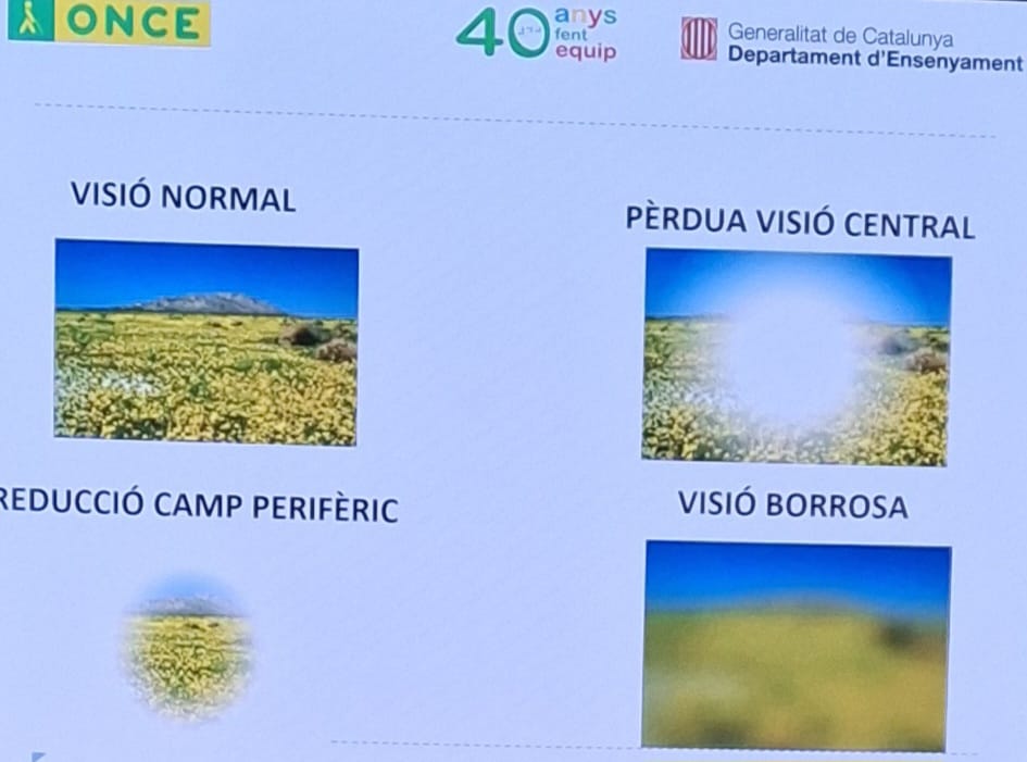 Jornades Servei Educatiu 05