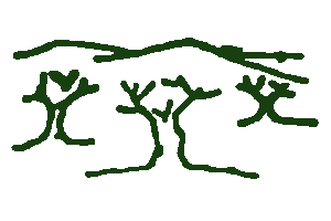 Escola L'Olivar Vell