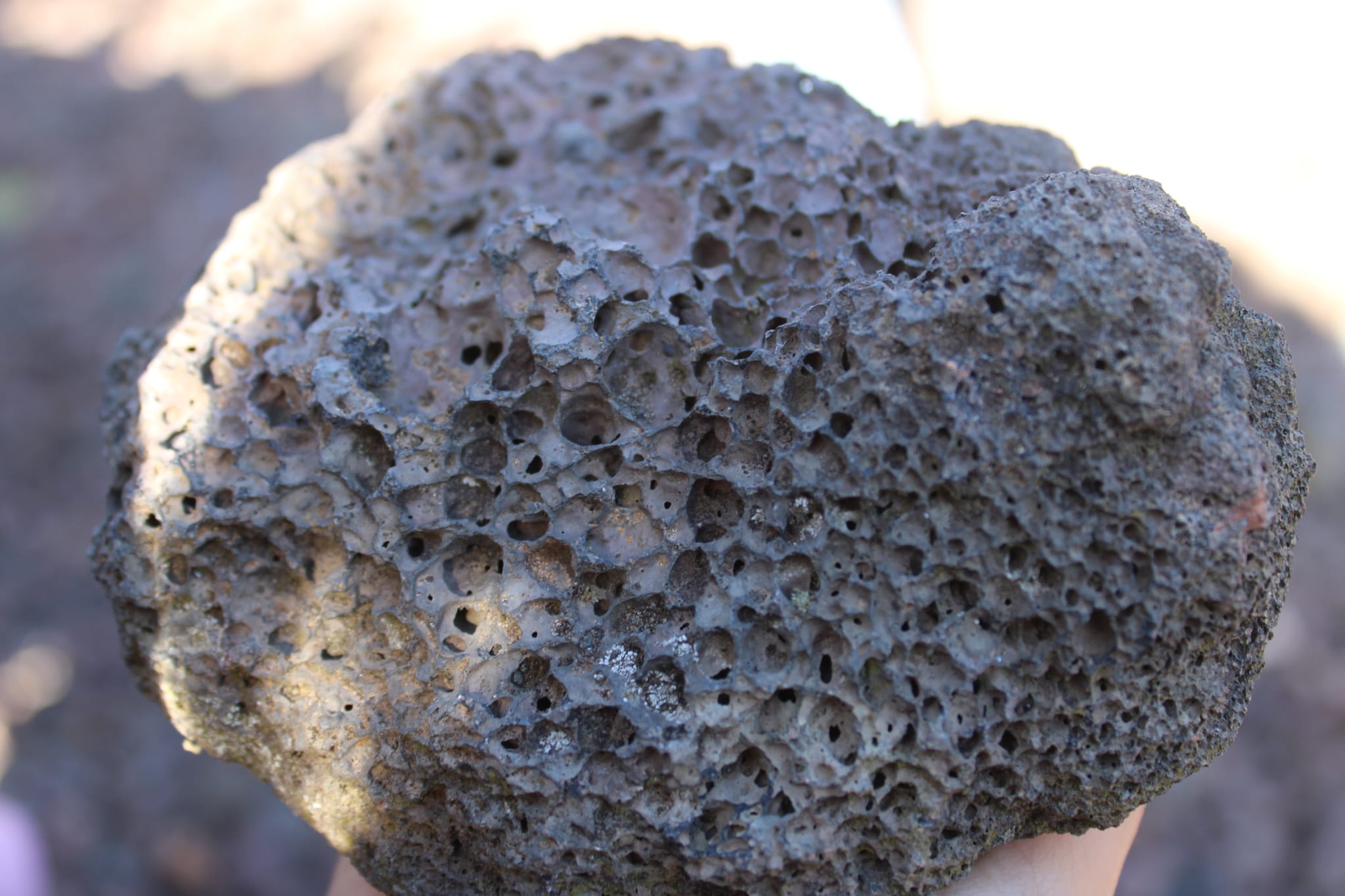 Imatge de WhatsApp 2024-12-18 a les 18.03.41_2d568887