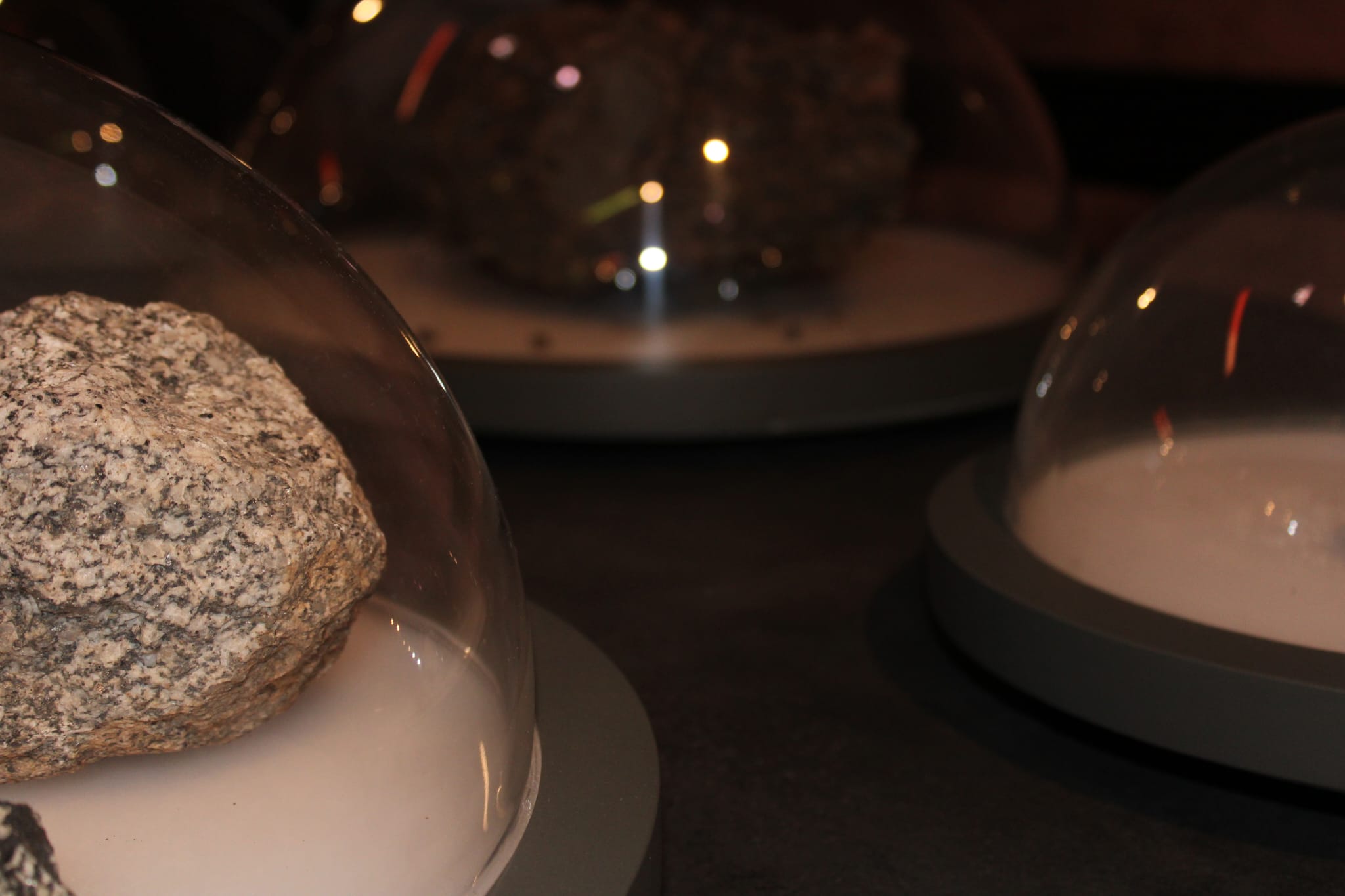 Imatge de WhatsApp 2024-12-18 a les 18.03.41_59153748