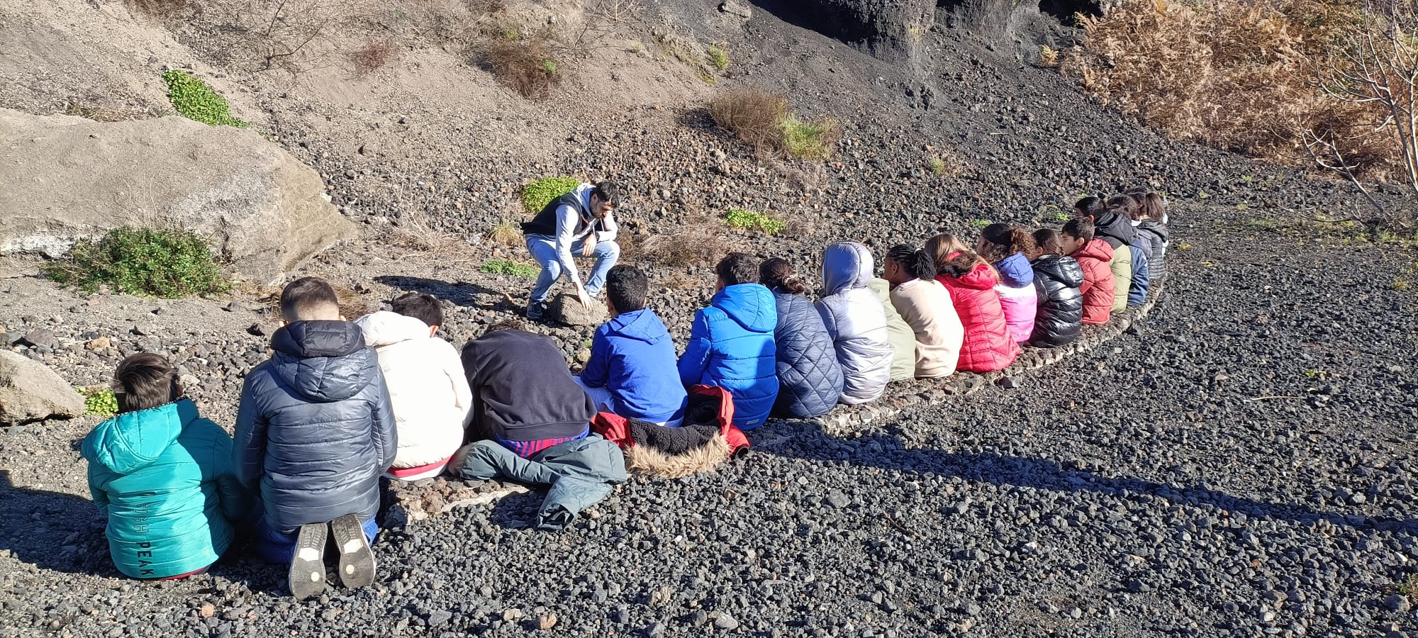 Imatge de WhatsApp 2024-12-18 a les 18.03.41_9db6260c