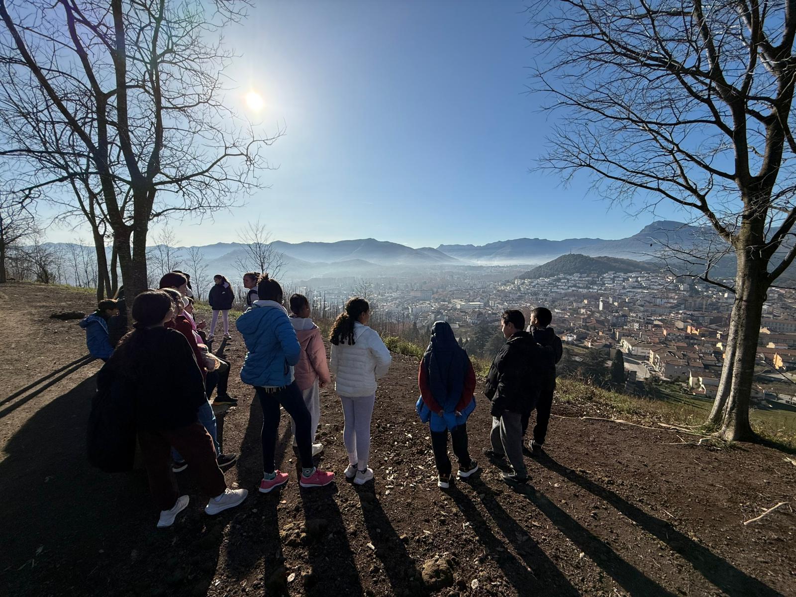 Imatge de WhatsApp 2024-12-18 a les 18.03.41_b2f42c0d