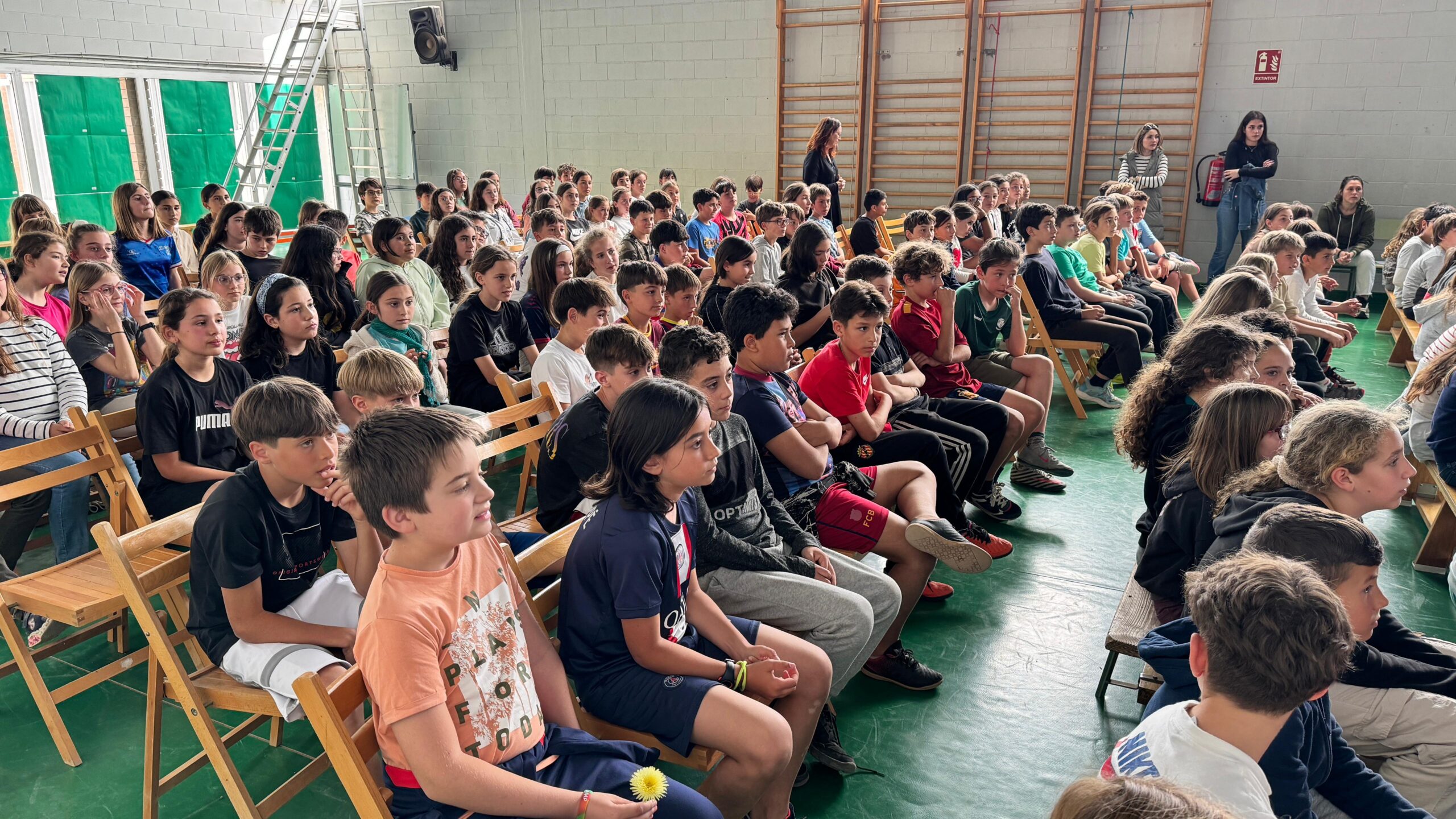 WhatsApp Image 2024-05-07 at 17.28.28