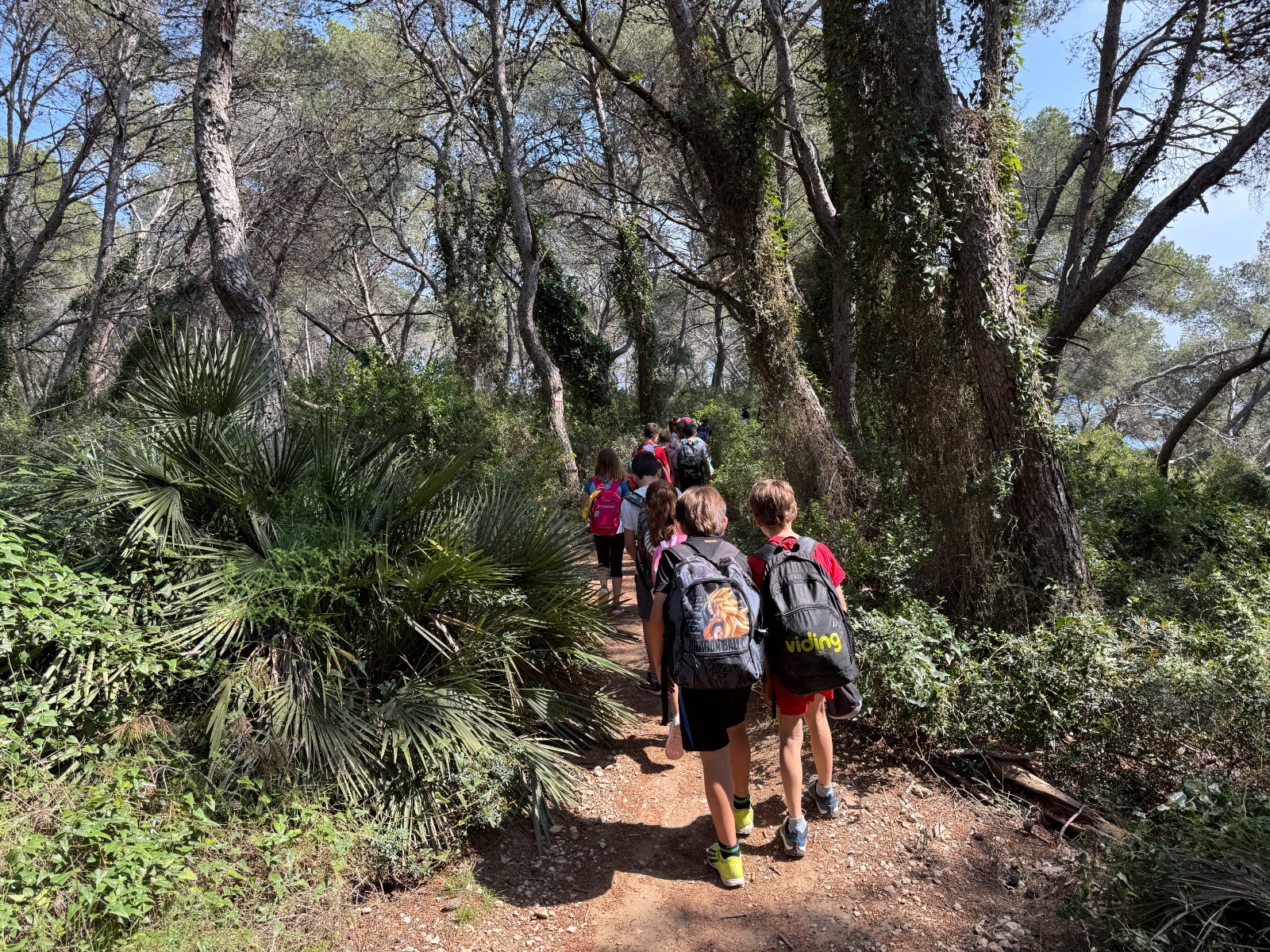 WhatsApp Image 2025-10-30 at 16.17.13 (2)