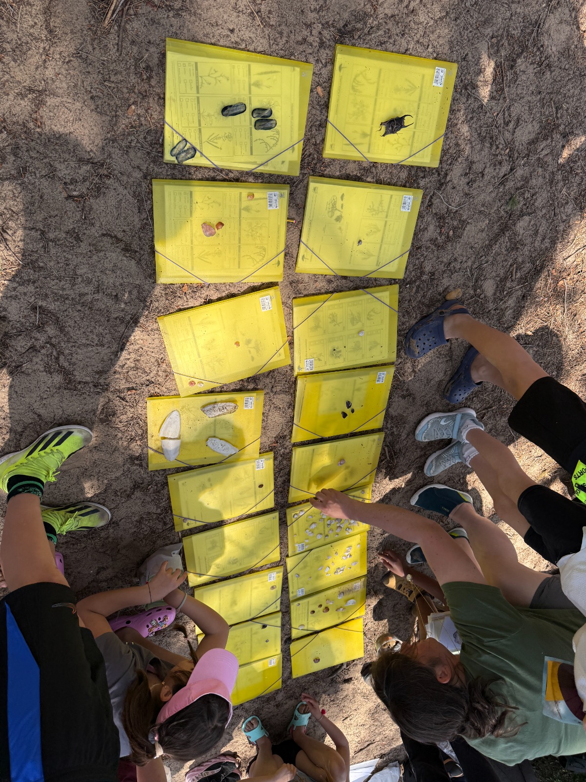 WhatsApp Image 2025-10-30 at 16.17.13 (5)