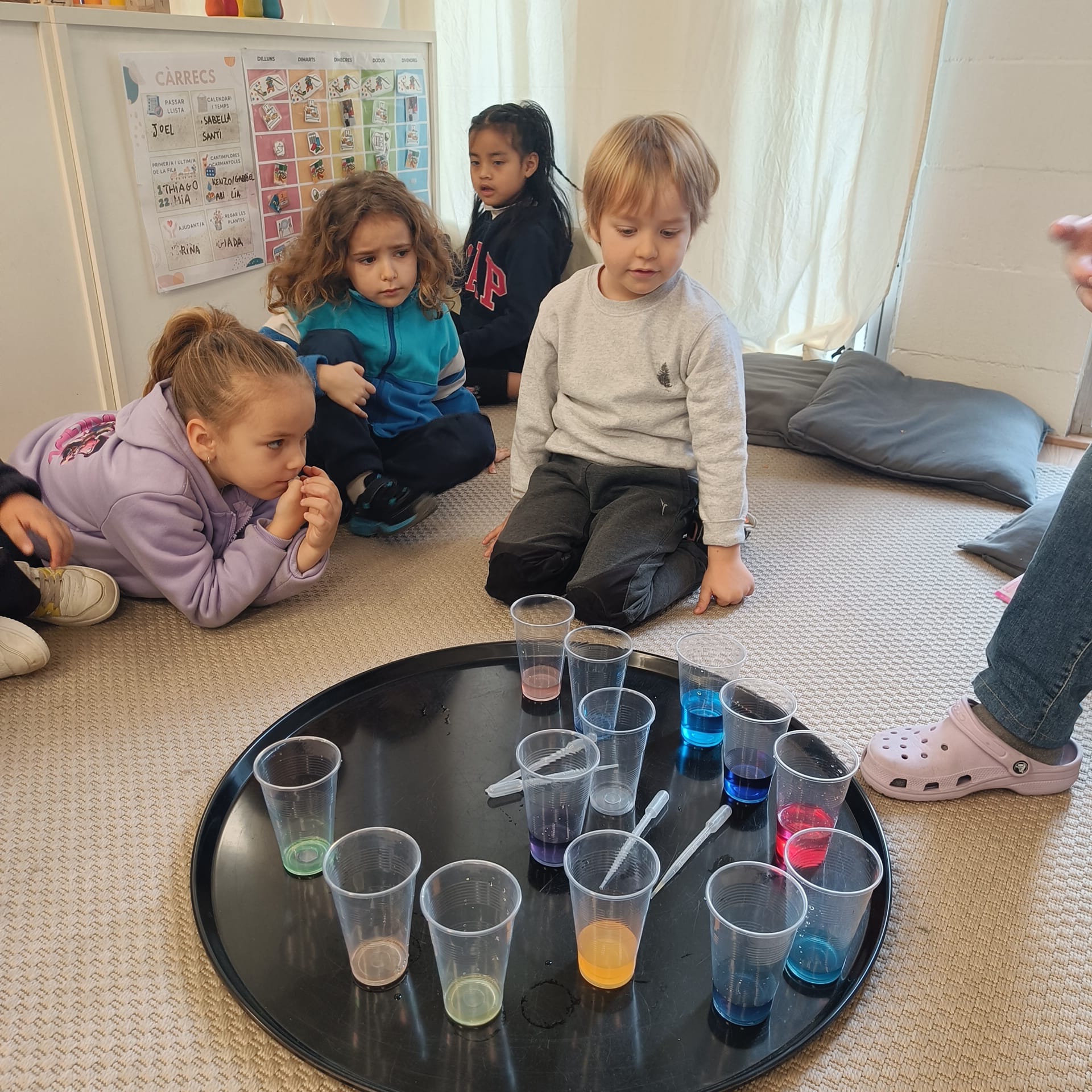 c7a6390d-9a98-4508-a35e-eaea5d3c4f4a