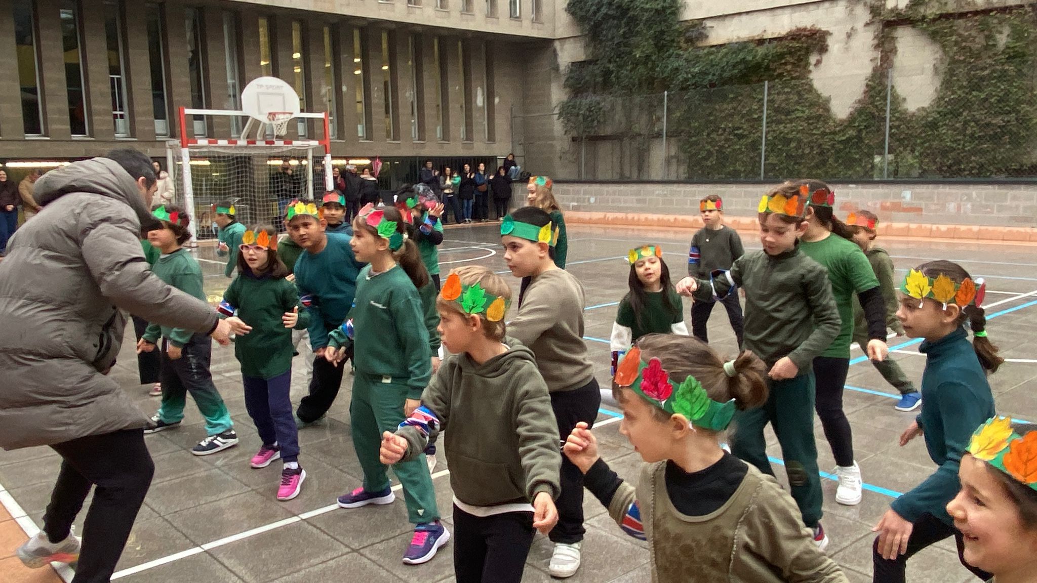 WhatsApp Image 2026-02-17 at 12.39.39