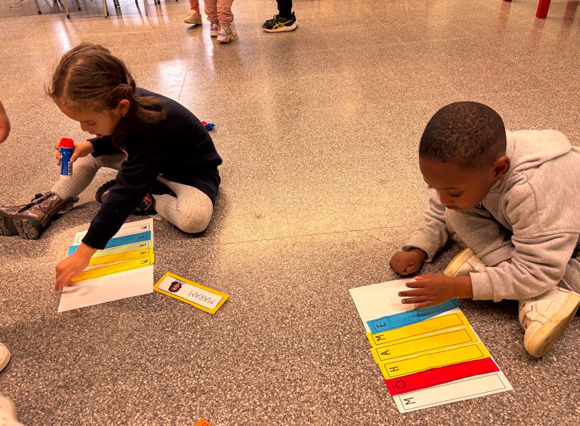 WhatsApp Image 2025-01-09 at 11.31.53