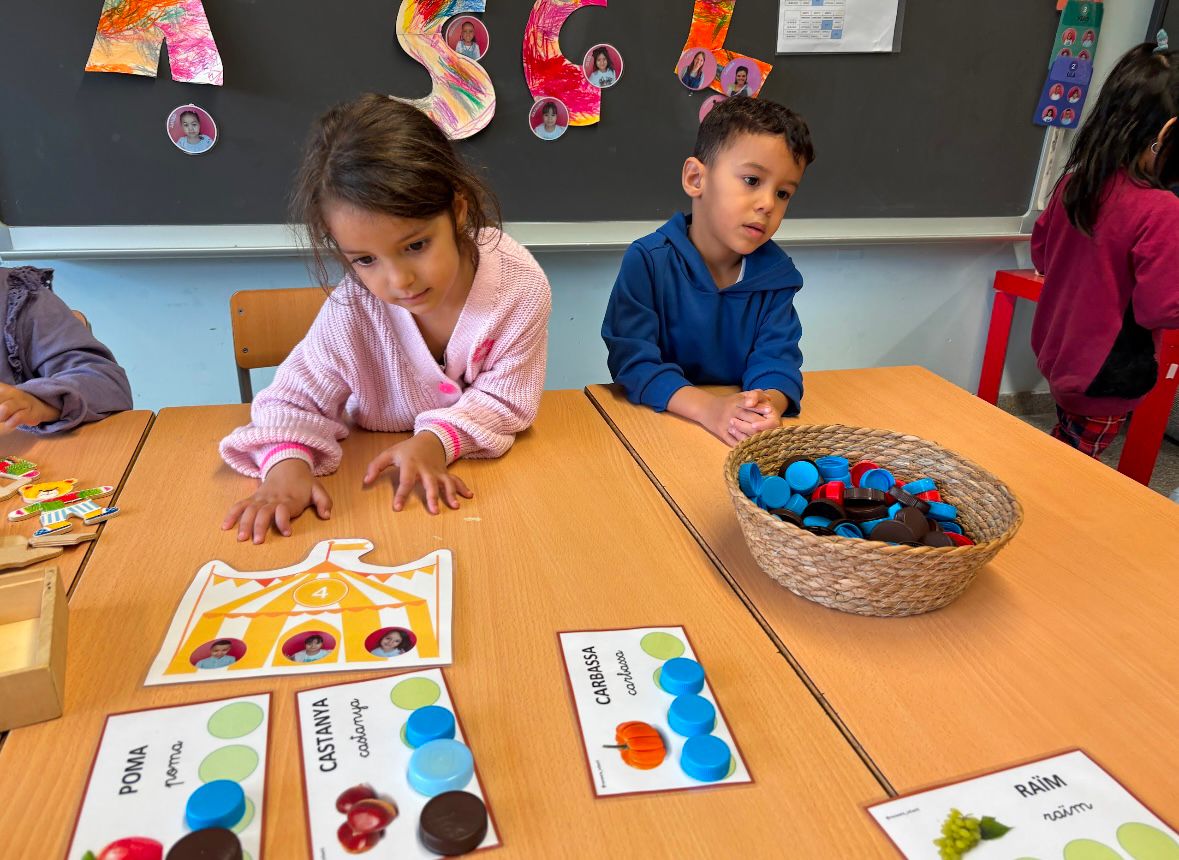 WhatsApp Image 2025-01-09 at 11.31.54 (1)