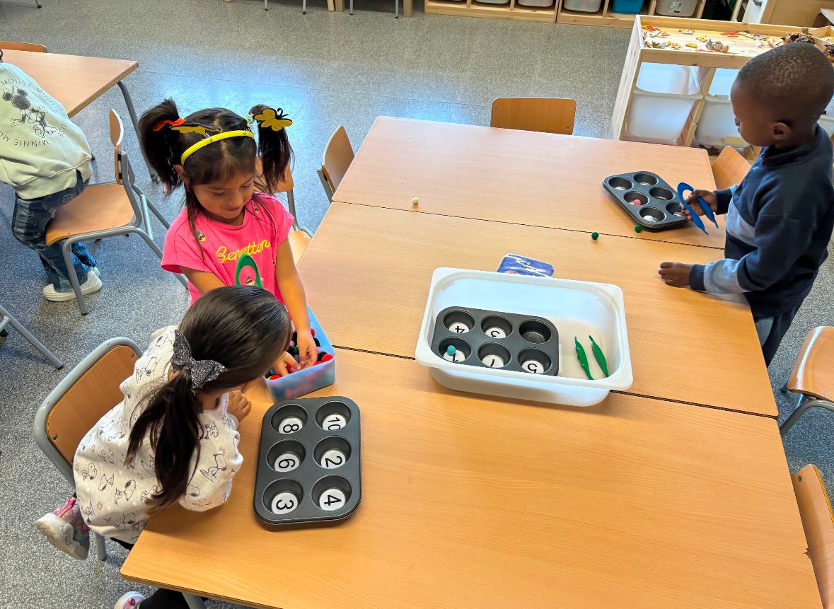 WhatsApp Image 2025-01-09 at 11.31.54