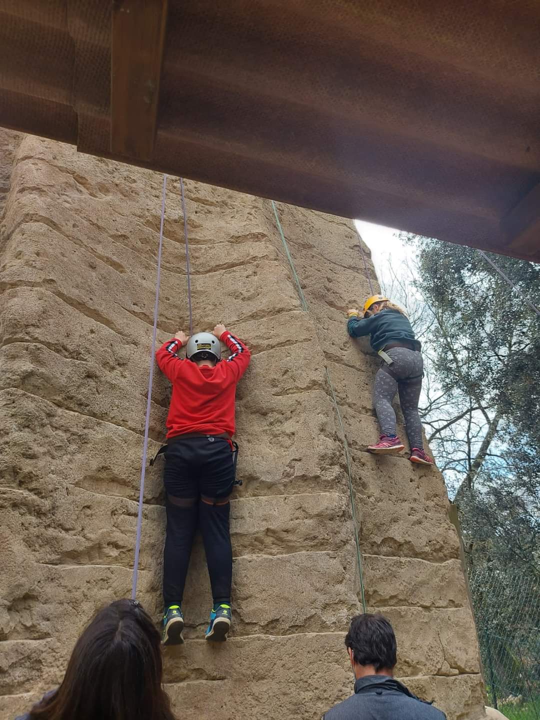 FB_IMG_1615977114480