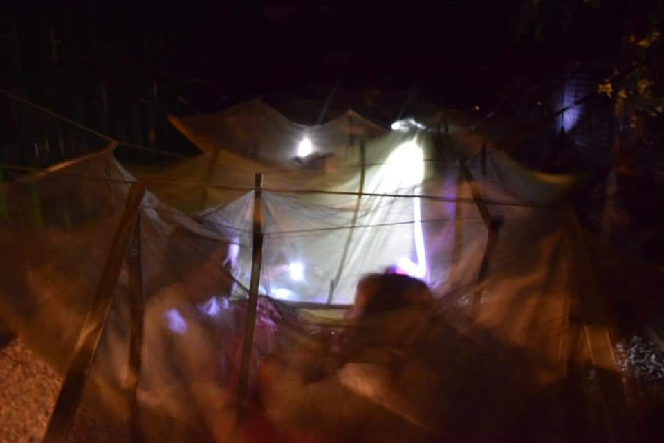 FB_IMG_1621352592209