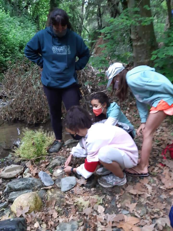 FB_IMG_1621352631339