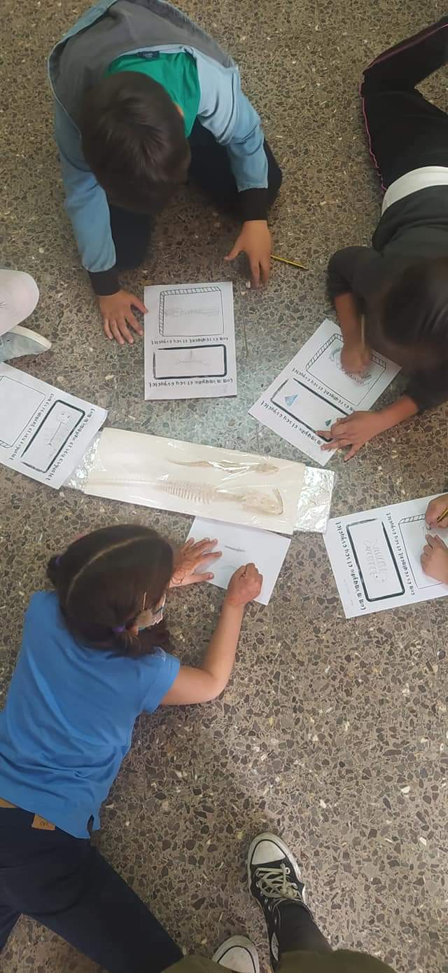 FB_IMG_1621423606476