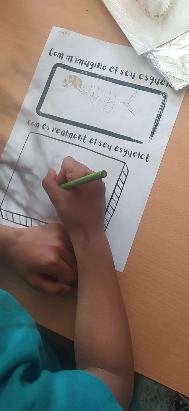 FB_IMG_1621423609575