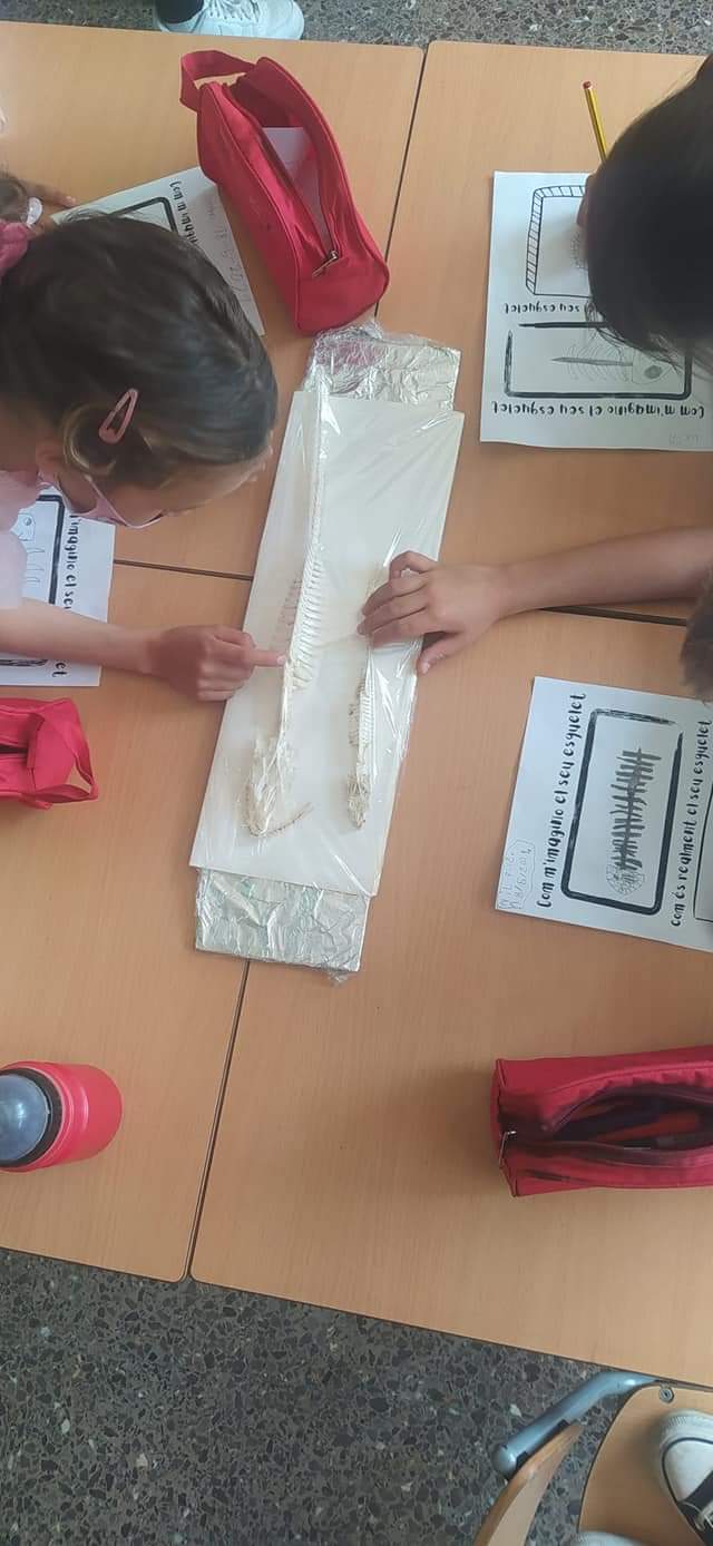 FB_IMG_1621423612495