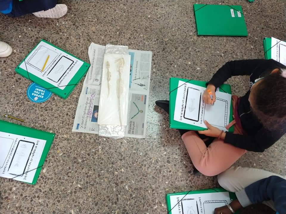 FB_IMG_1621423615343