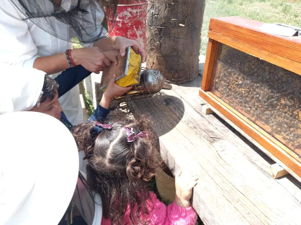 FB_IMG_1621440116728