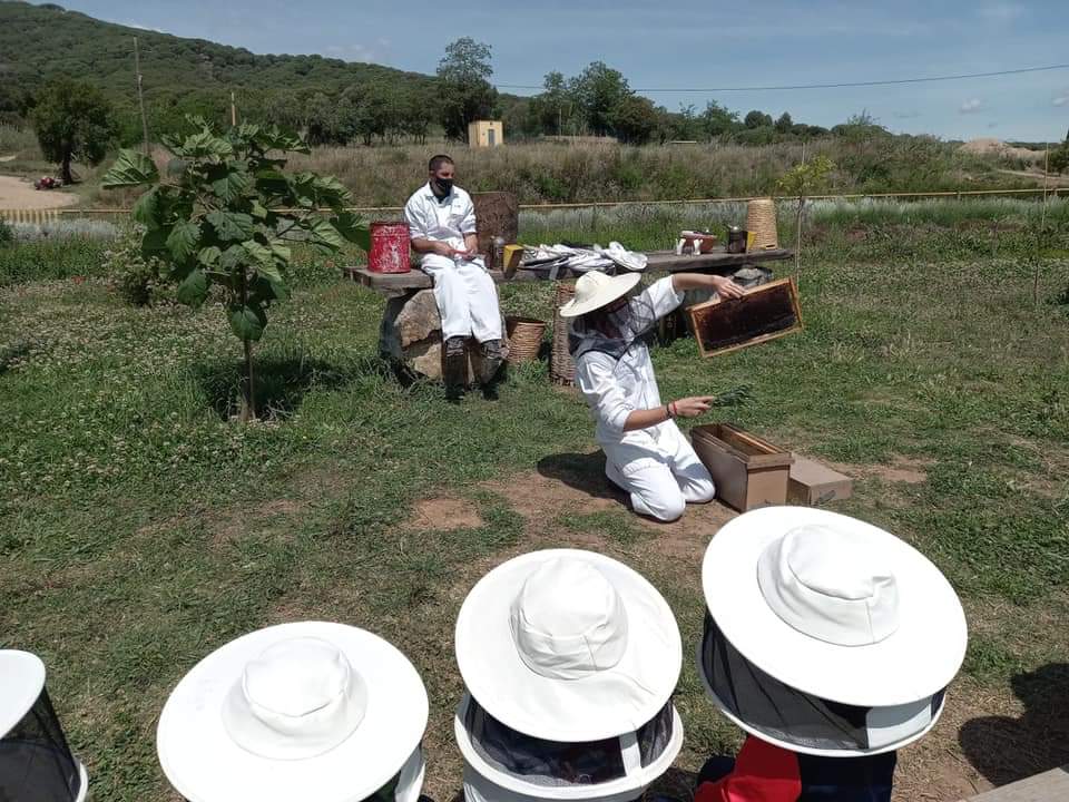 FB_IMG_1621440121528