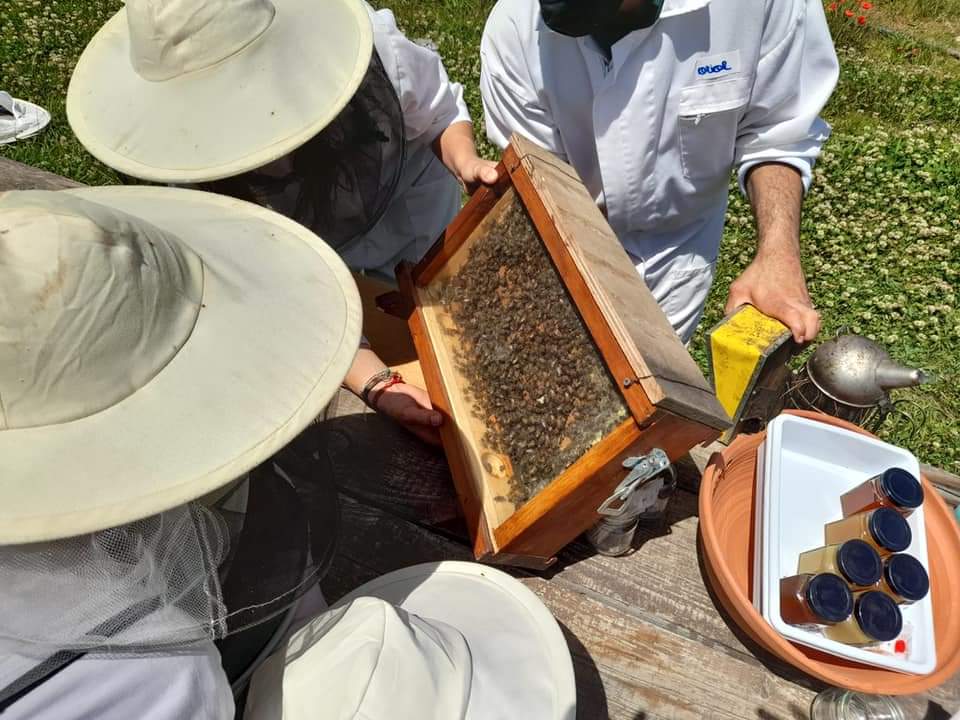 FB_IMG_1621440155081