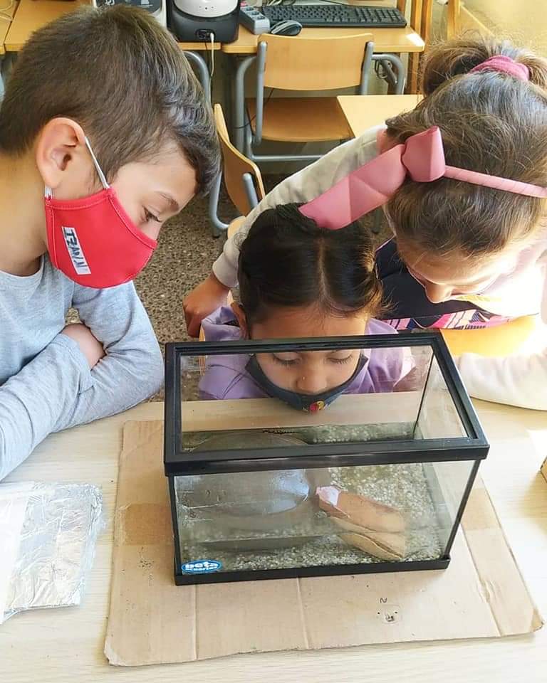 FB_IMG_1621570627639