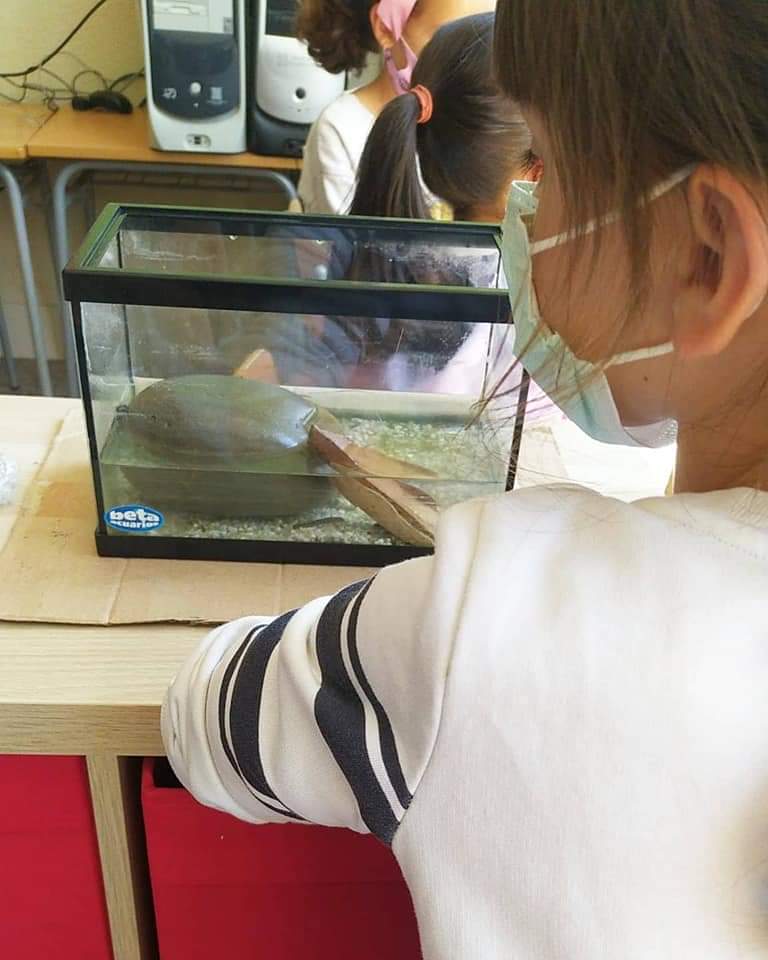 FB_IMG_1621570636799