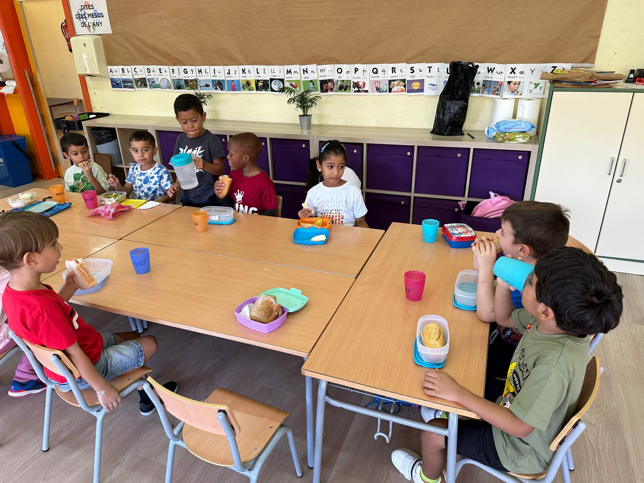 WhatsApp Image 2024-09-13 at 12.46.33 (1)