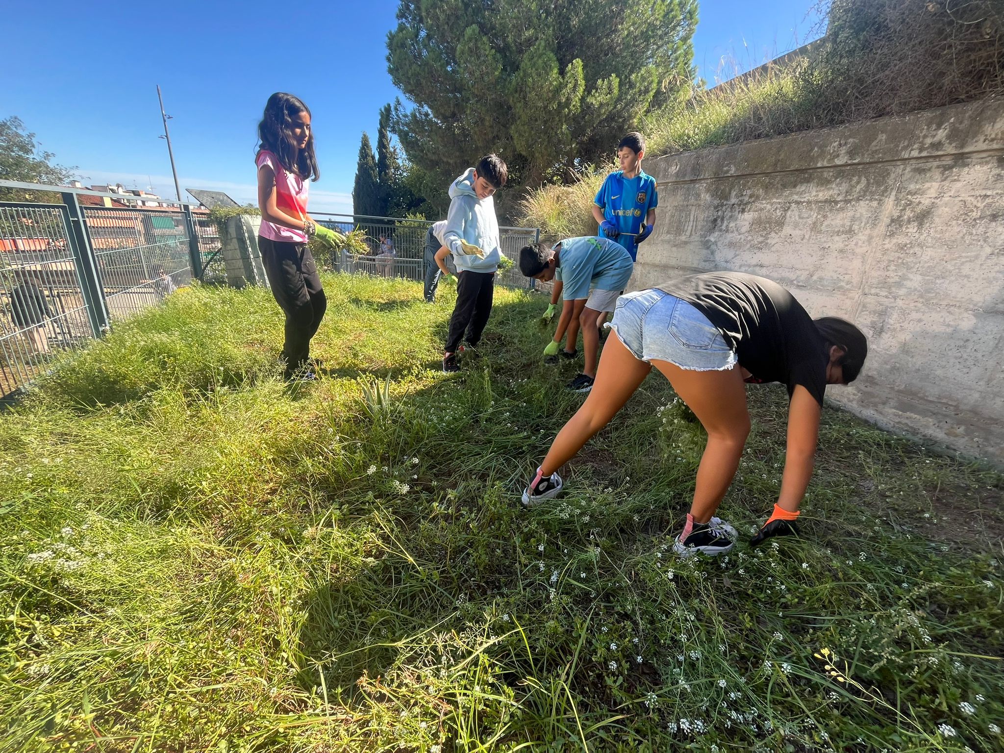 WhatsApp Image 2024-09-27 at 17.00.51 (1)