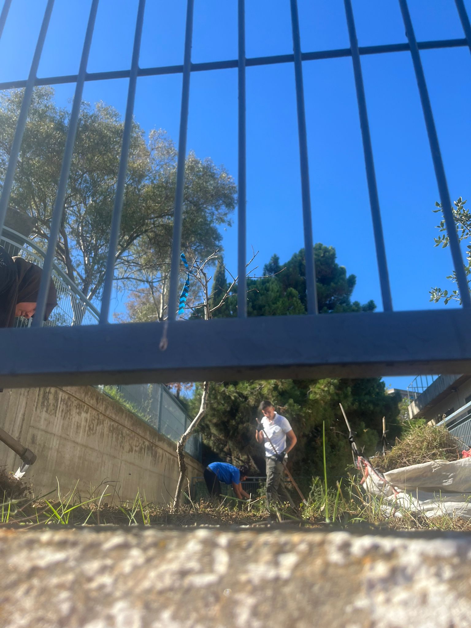 WhatsApp Image 2024-09-27 at 17.00.51 (4)