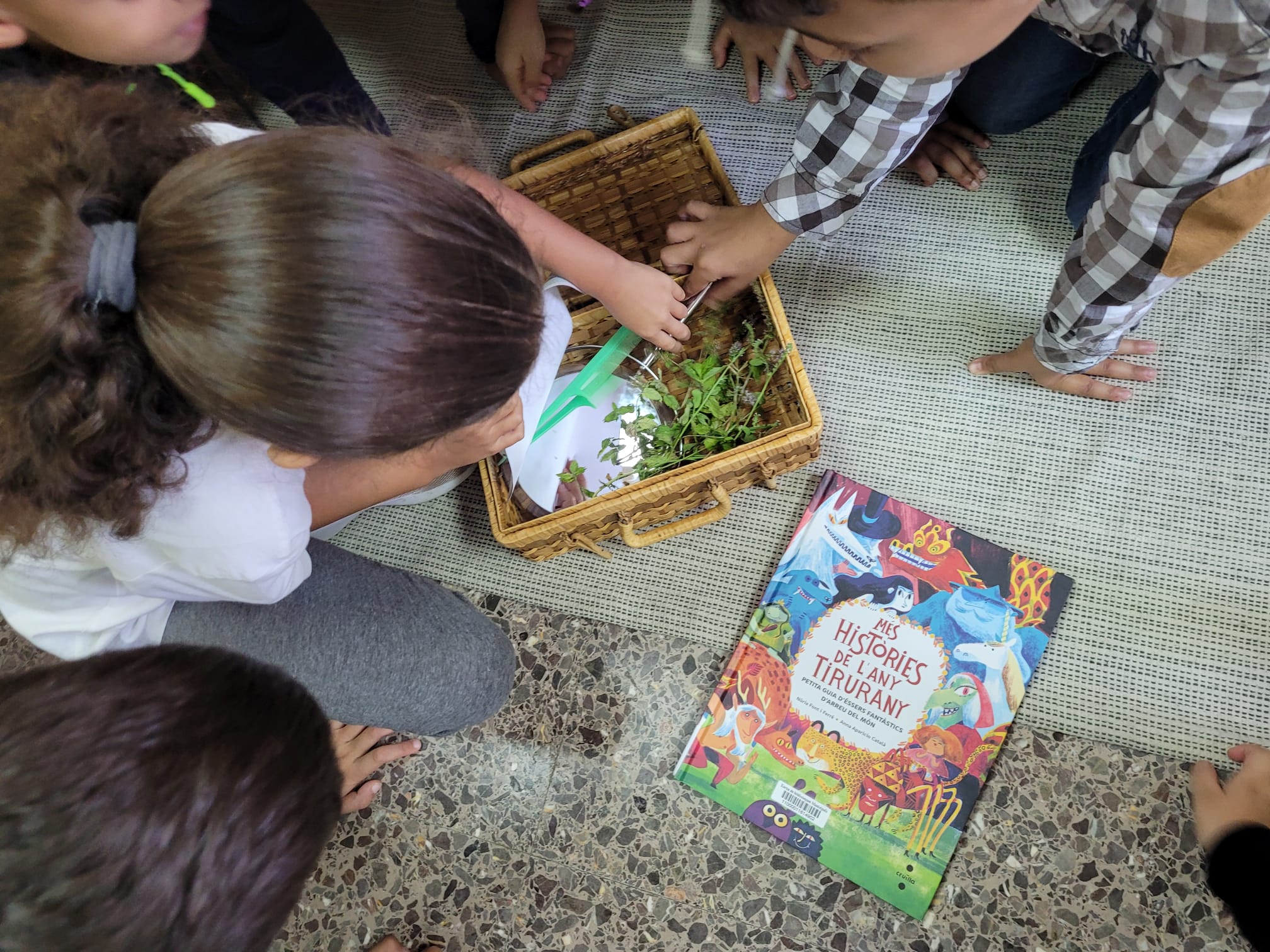 WhatsApp Image 2024-09-27 at 18.02.59