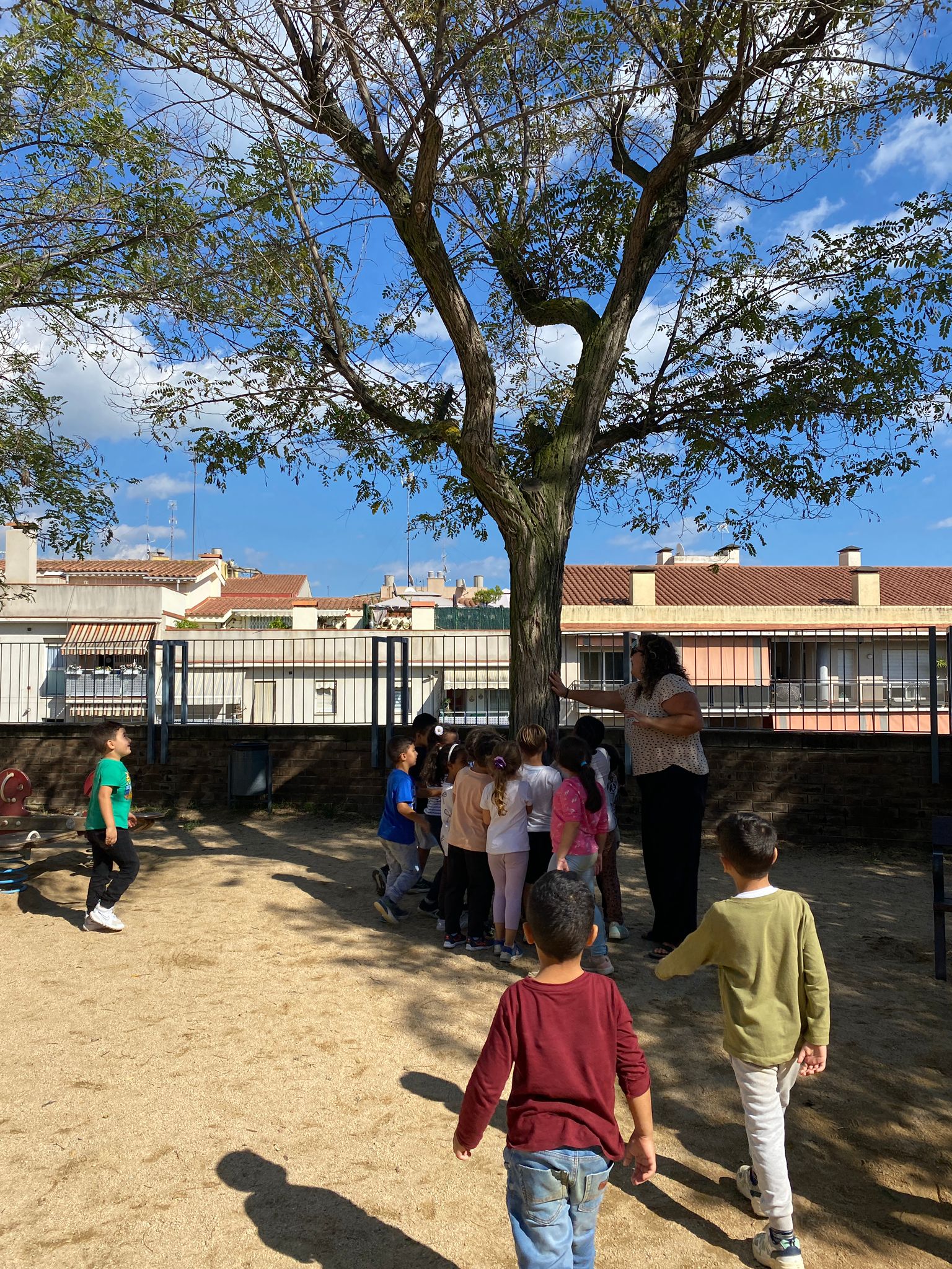 WhatsApp Image 2024-10-08 at 18.06.06