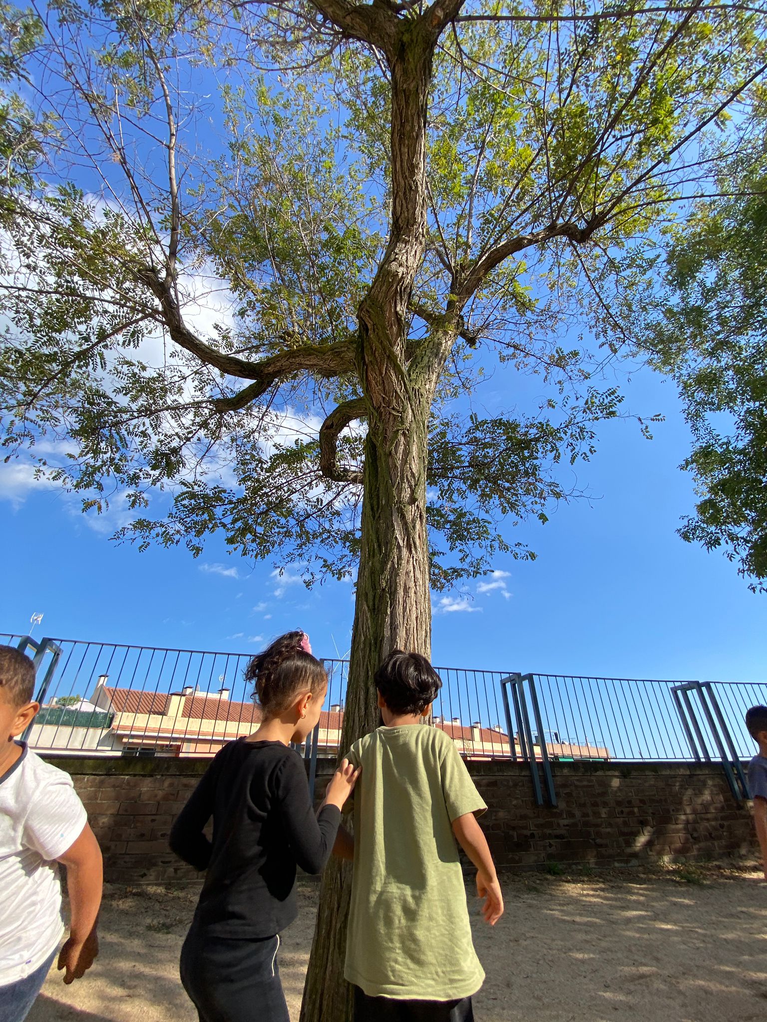 WhatsApp Image 2024-10-08 at 18.06.07 (2)