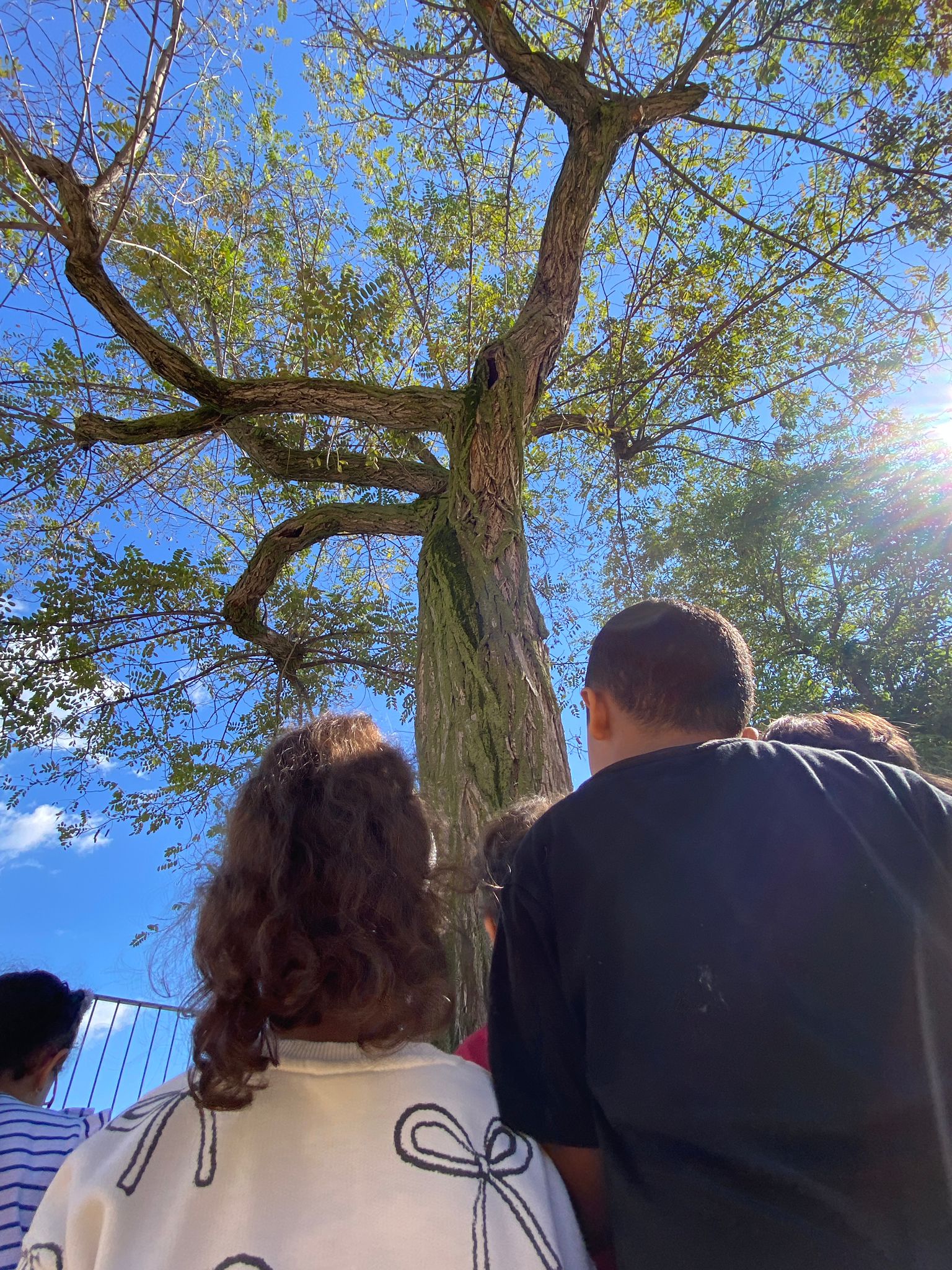 WhatsApp Image 2024-10-08 at 18.06.08