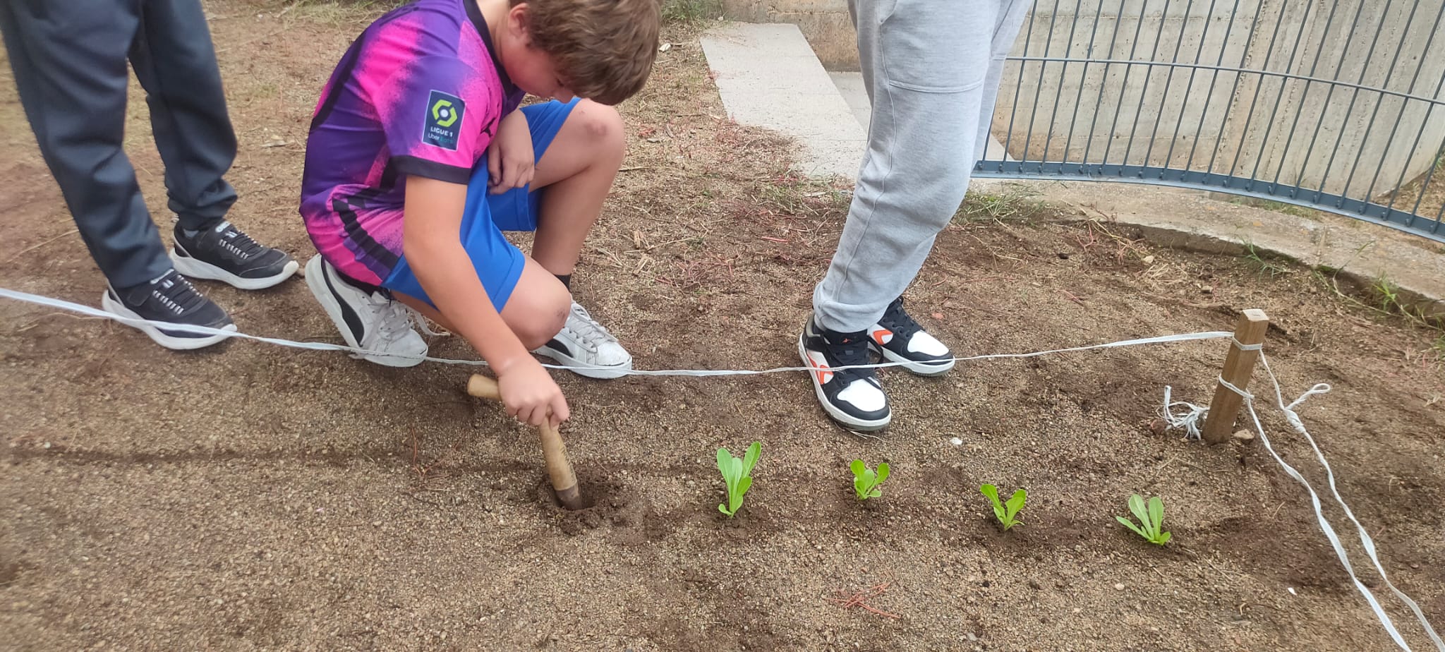 WhatsApp Image 2024-10-14 at 18.01.19