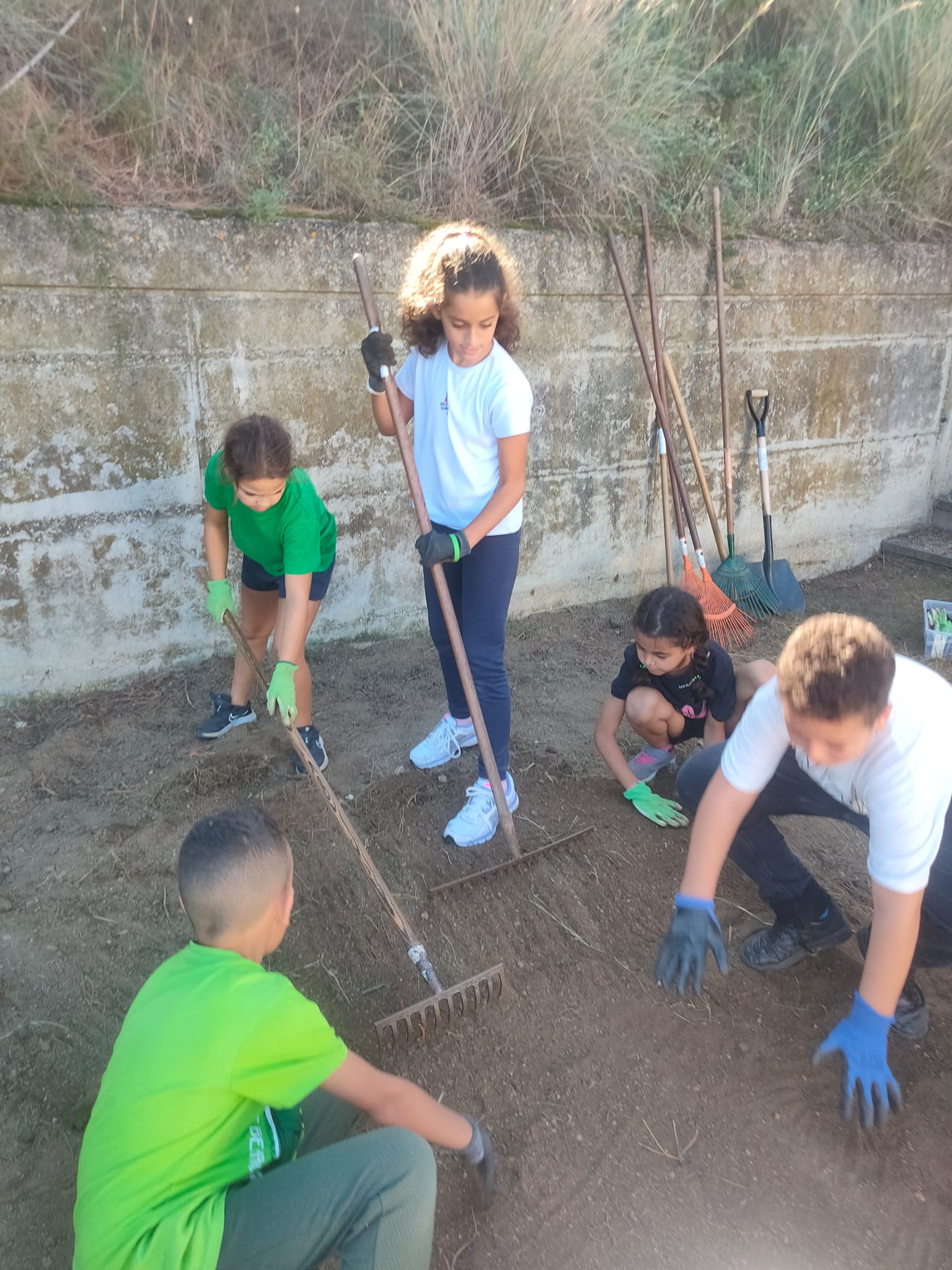 WhatsApp Image 2024-10-14 at 18.01.20 (1)