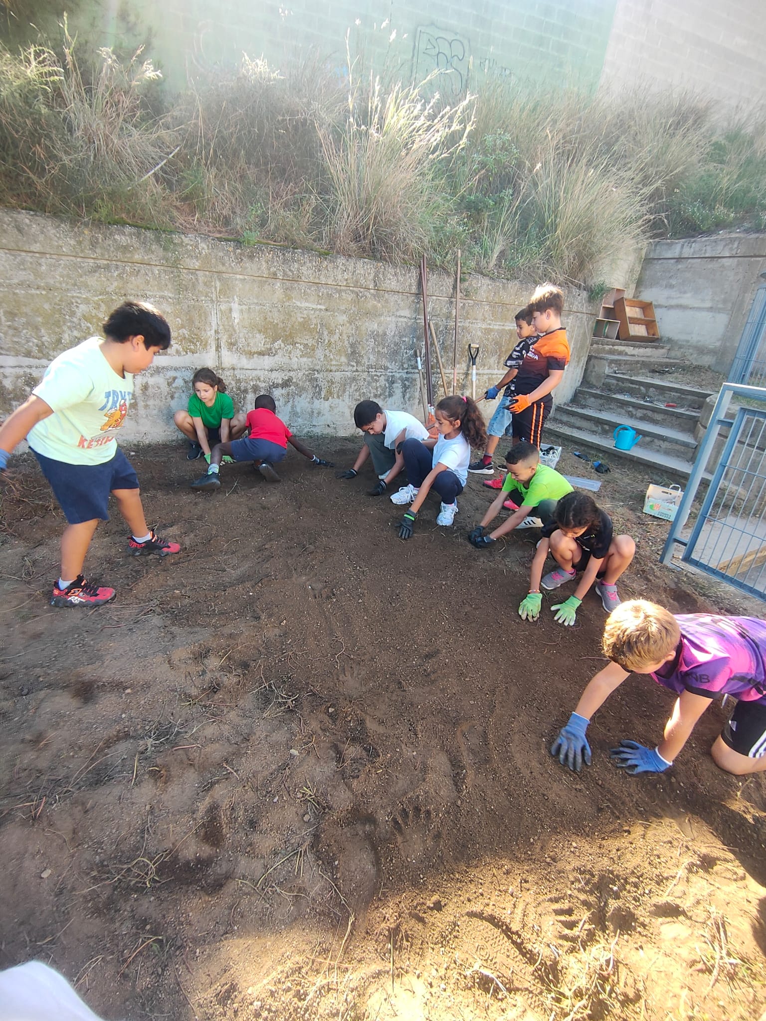 WhatsApp Image 2024-10-14 at 18.01.20 (2)