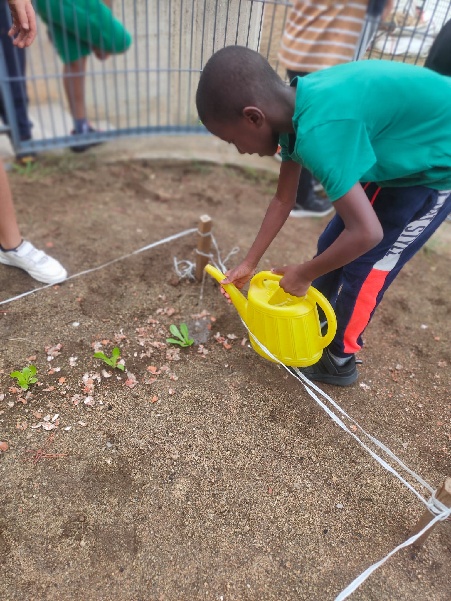 WhatsApp Image 2024-10-14 at 18.01.20 (3)