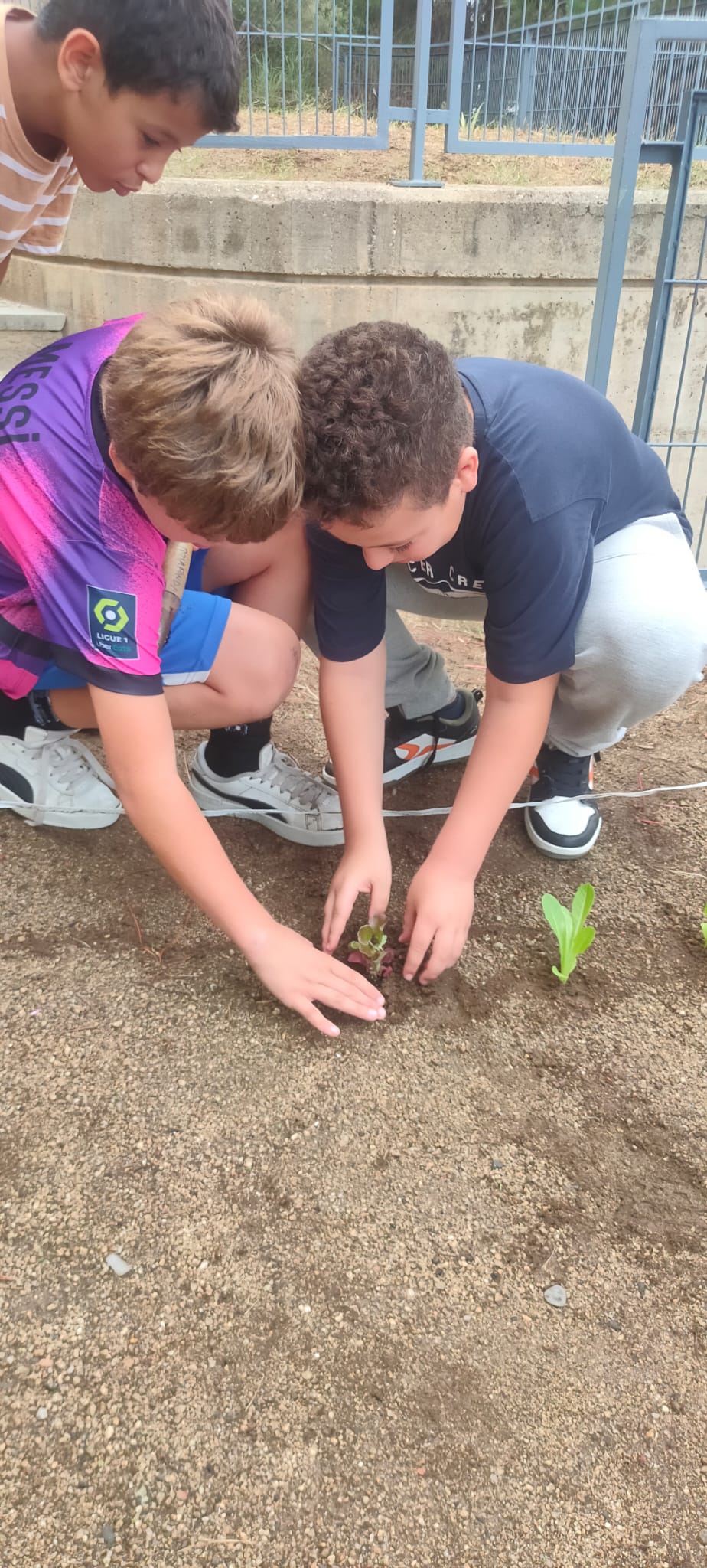 WhatsApp Image 2024-10-14 at 18.01.21 (2)