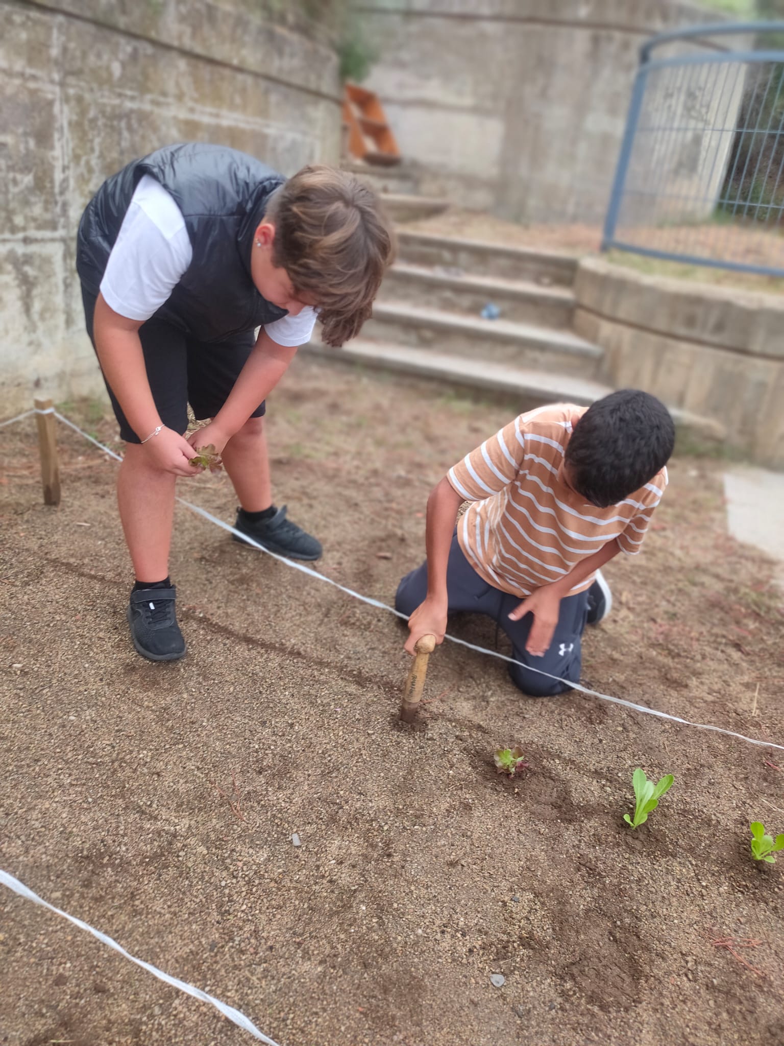 WhatsApp Image 2024-10-14 at 18.01.21