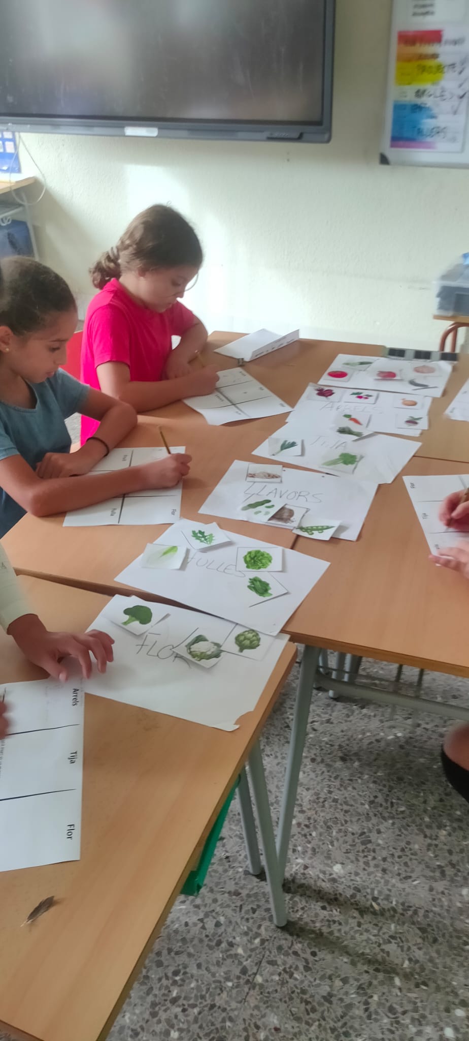 WhatsApp Image 2024-10-14 at 18.01.22 (1)