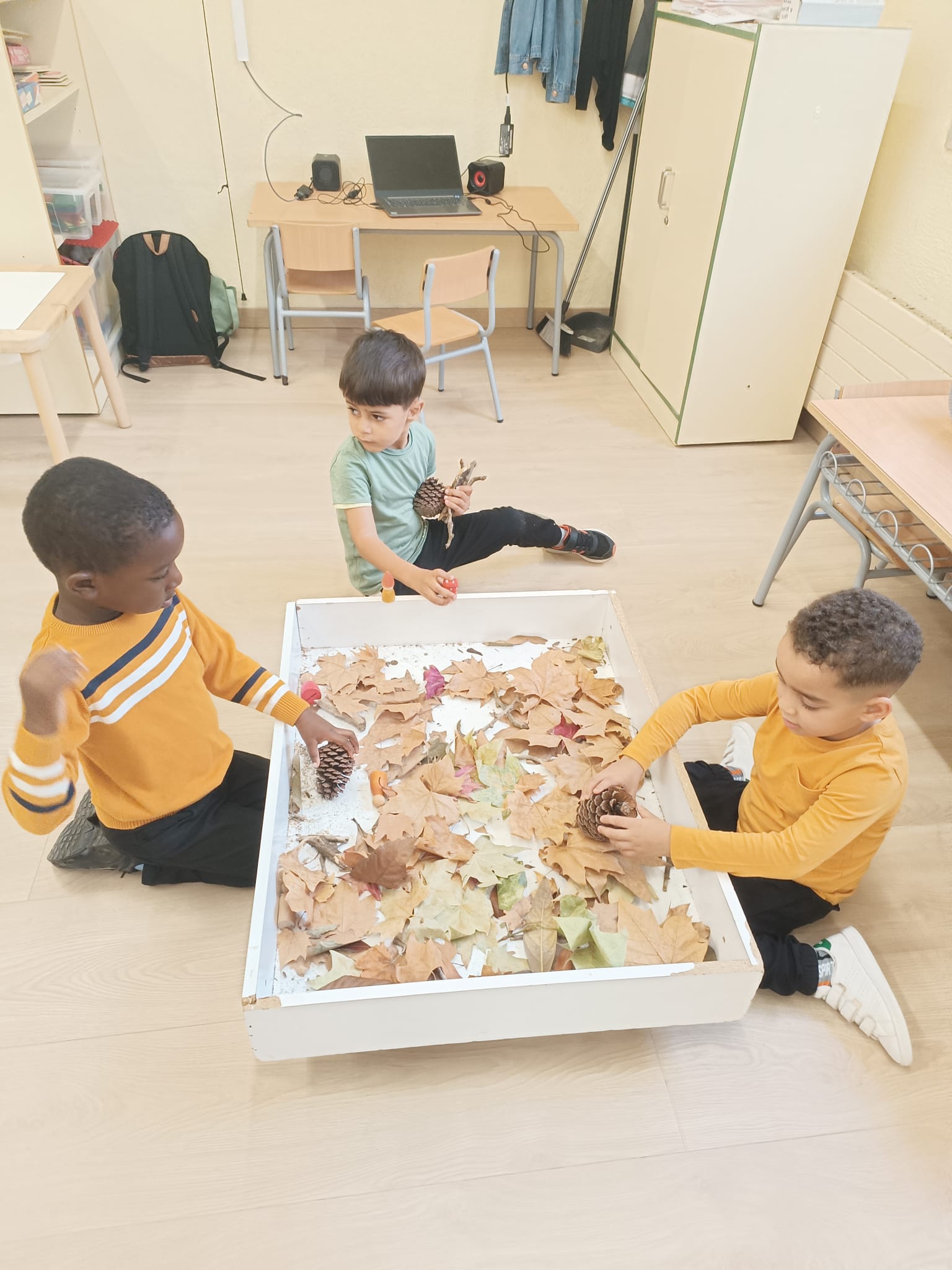 WhatsApp Image 2024-10-15 at 12.26.24 (1)