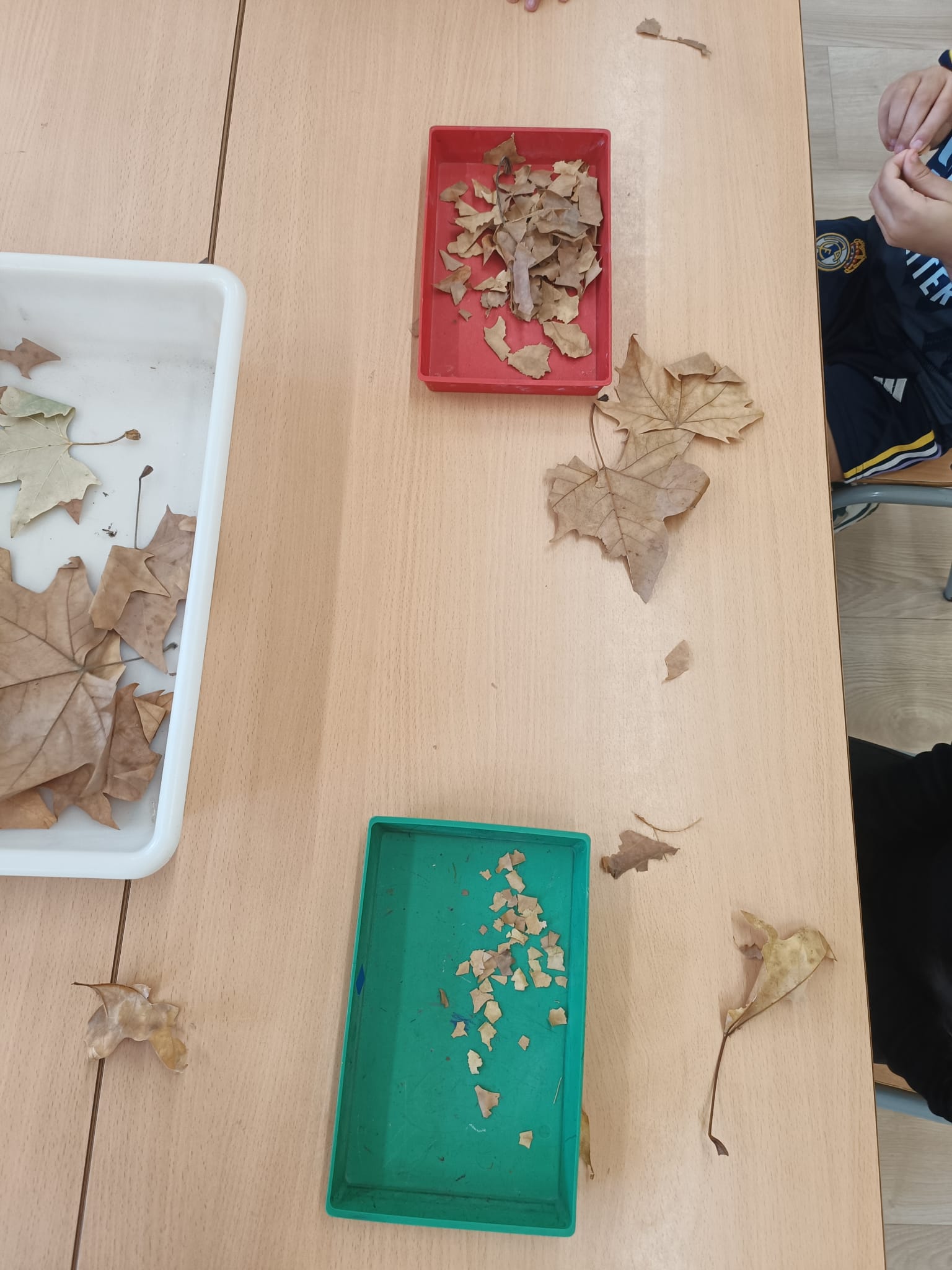 WhatsApp Image 2024-10-15 at 12.26.24 (2)