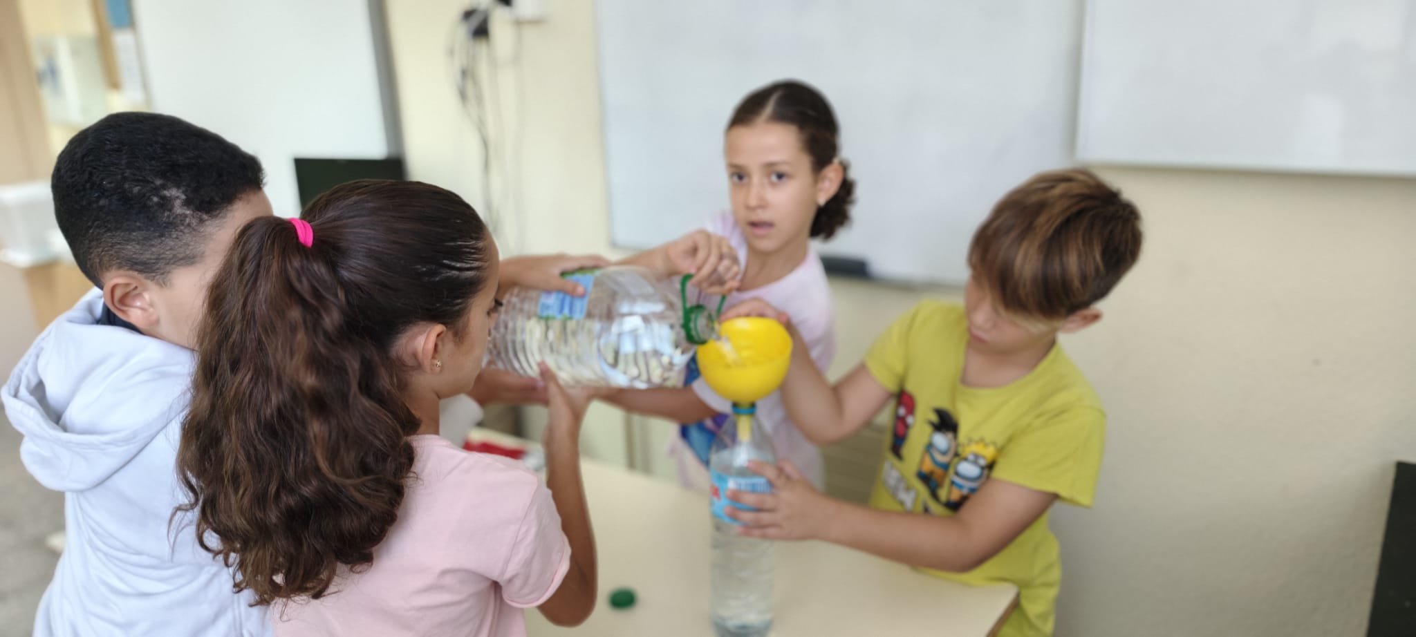 WhatsApp Image 2024-10-16 at 18.55.18