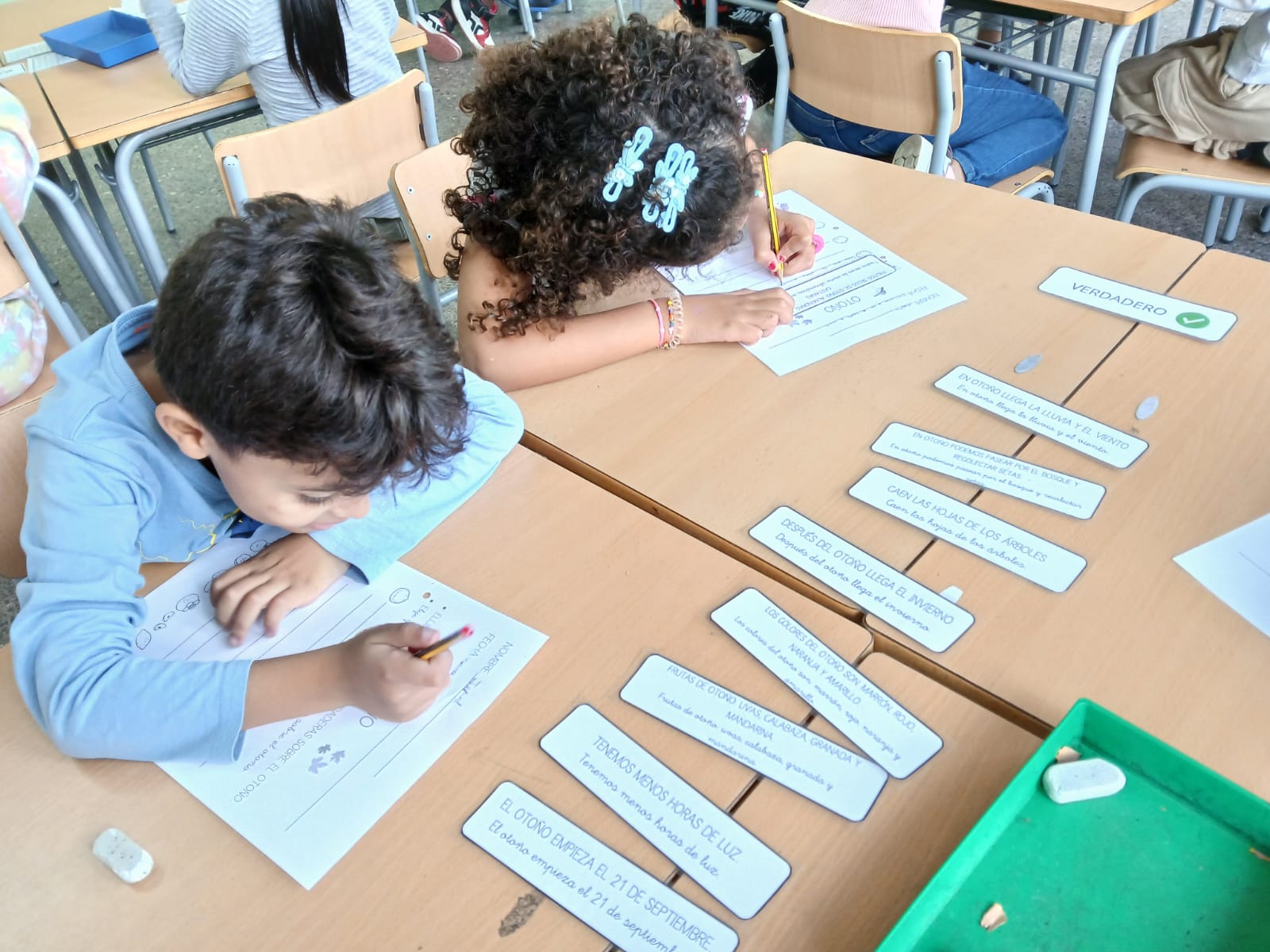 WhatsApp Image 2024-10-18 at 19.05.34 (1)