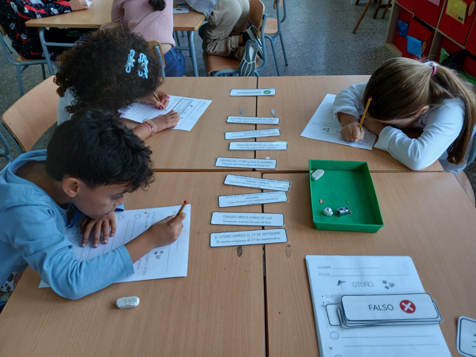 WhatsApp Image 2024-10-18 at 19.05.34