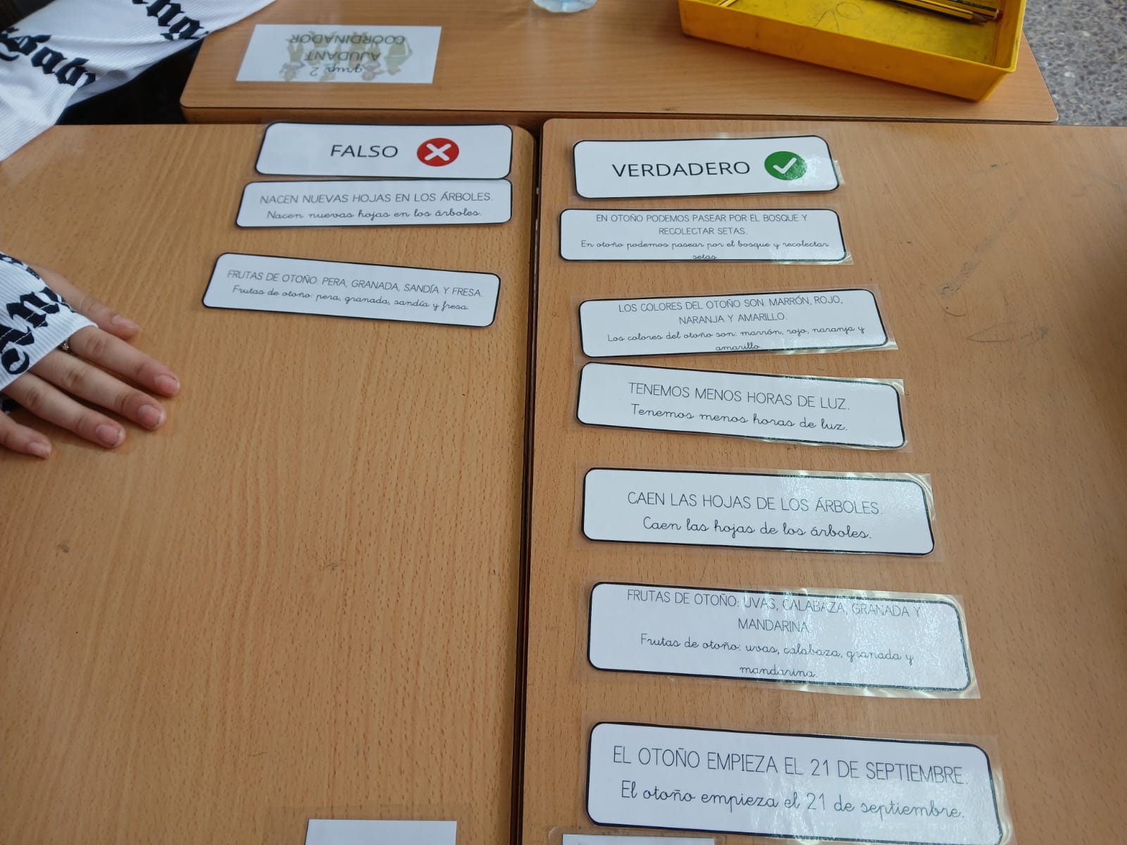 WhatsApp Image 2024-10-18 at 19.05.36 (1)