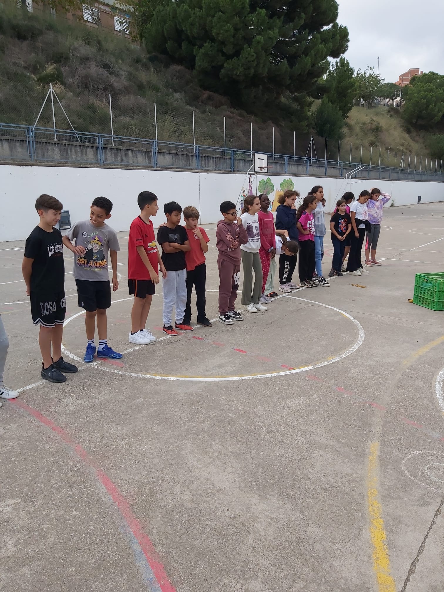 WhatsApp Image 2024-10-25 at 19.19.01